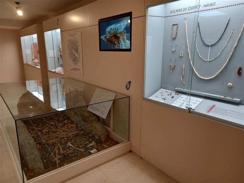 Musée de Préhistoire Amédée Lemozi