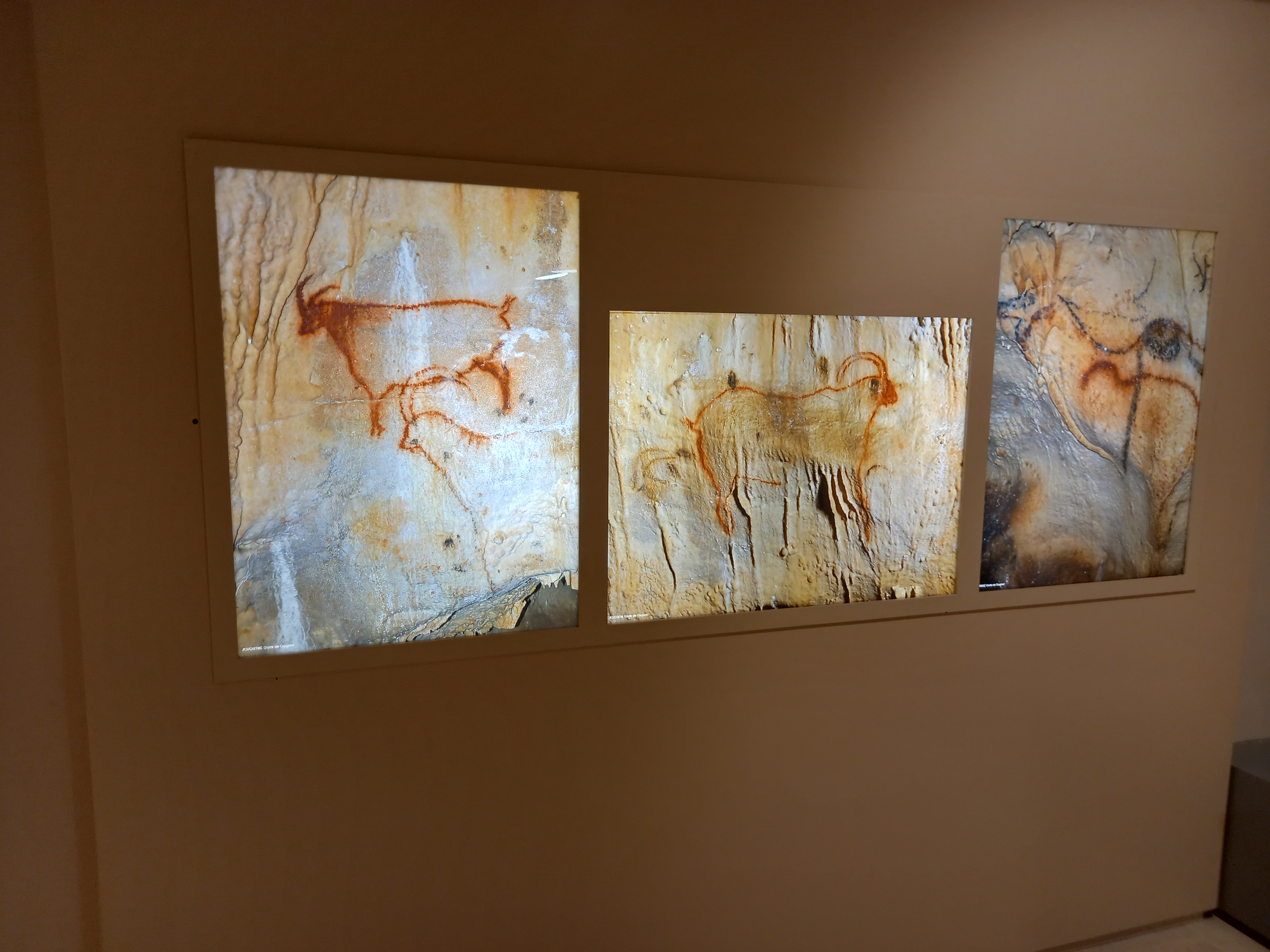 Musée de Préhistoire Amédée Lemozi, Cabrerets - photo 4