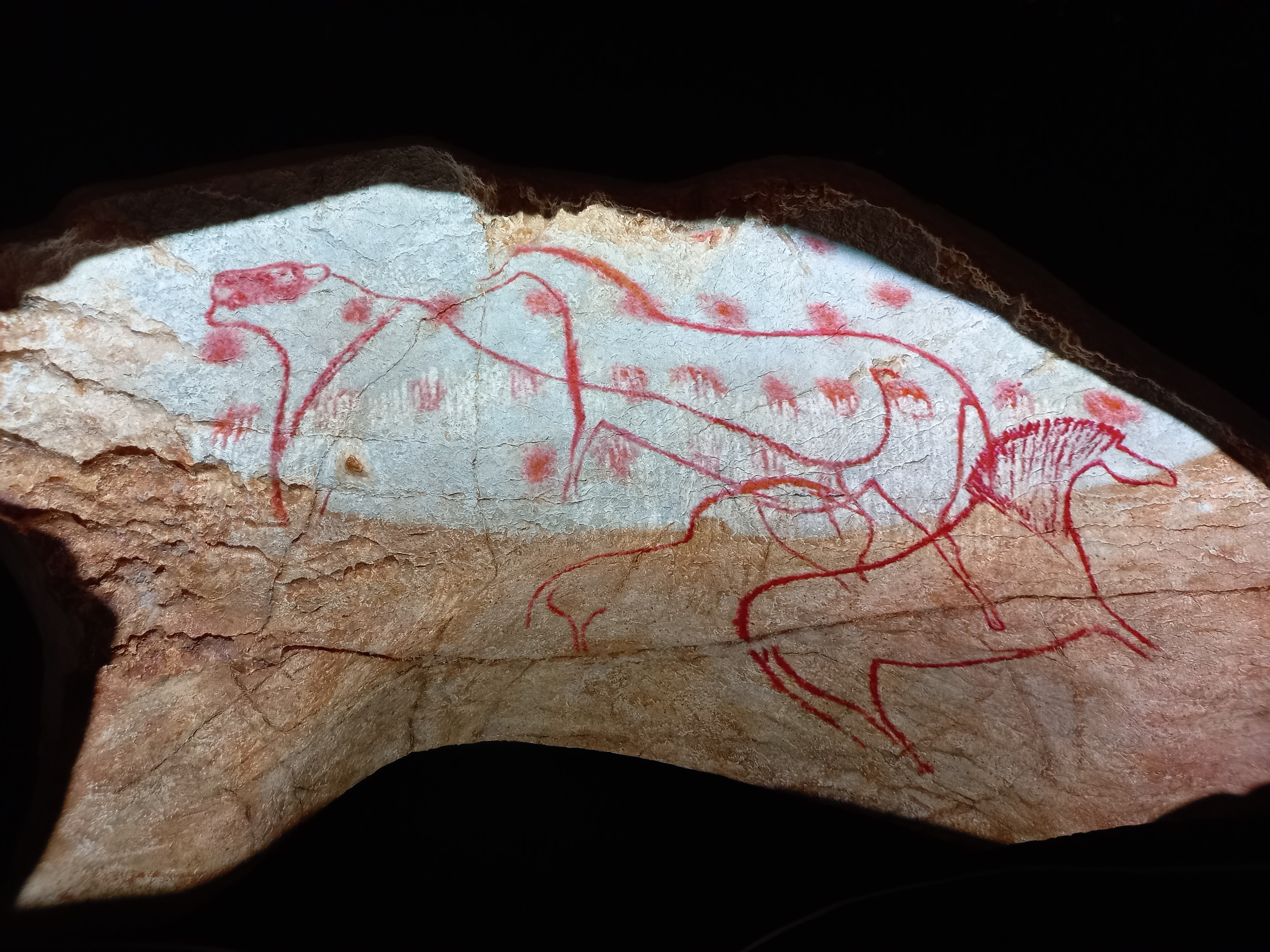 Musée de Préhistoire Amédée Lemozi, Cabrerets - photo 6