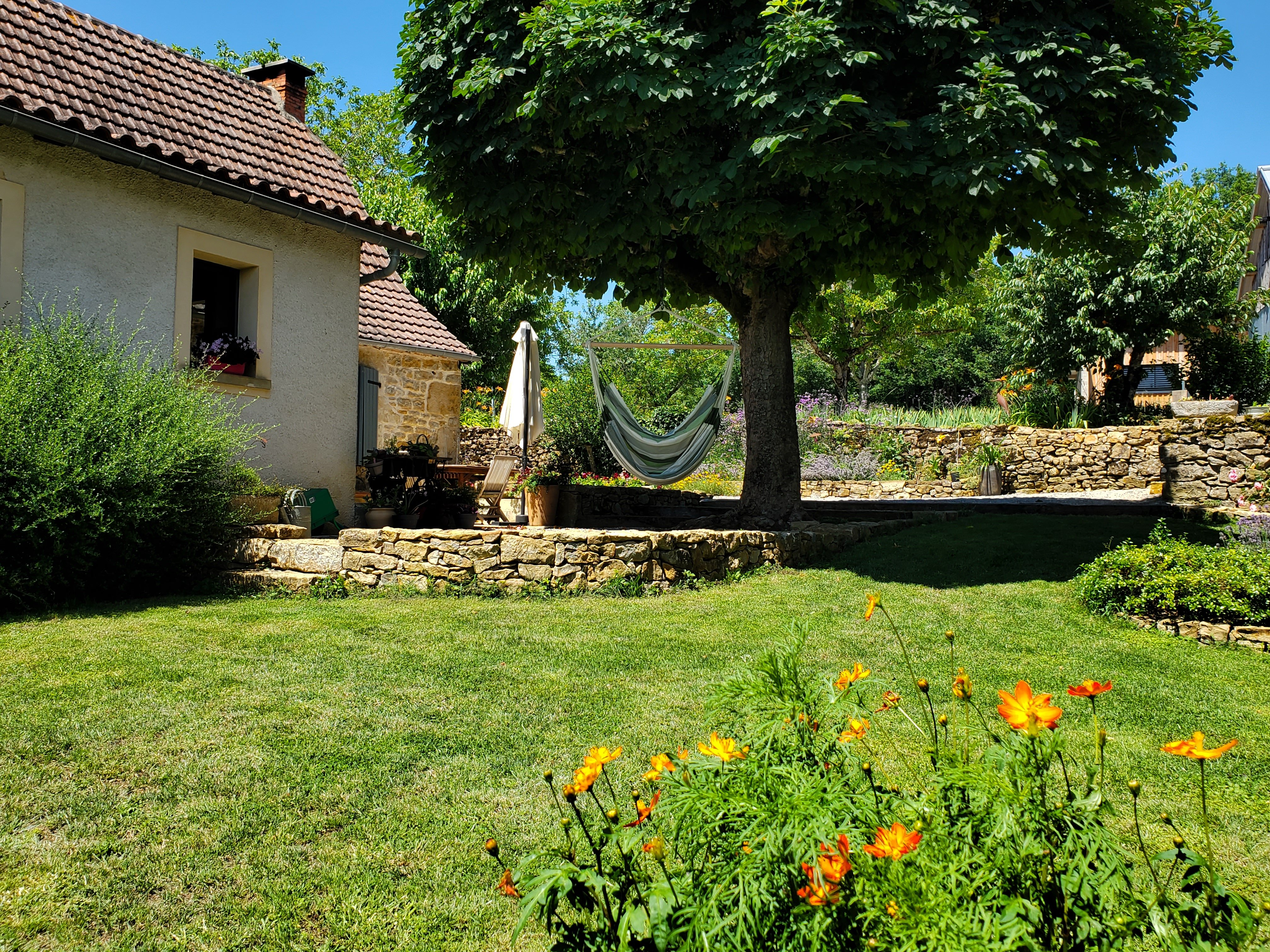 Le Pech de Vigne, Bio - photo 8