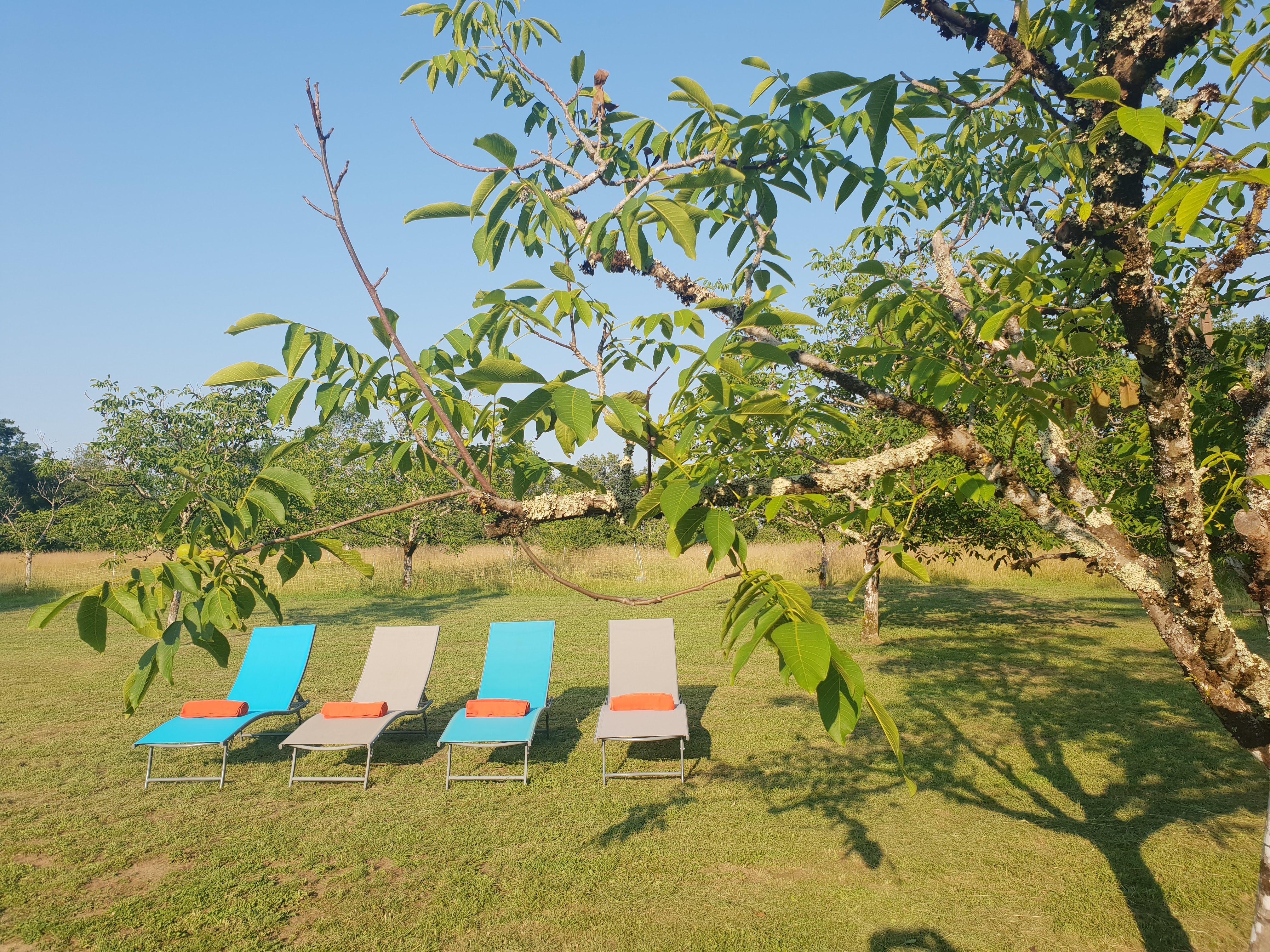 Rusty Shears, Lacapelle-Cabanac - photo 16