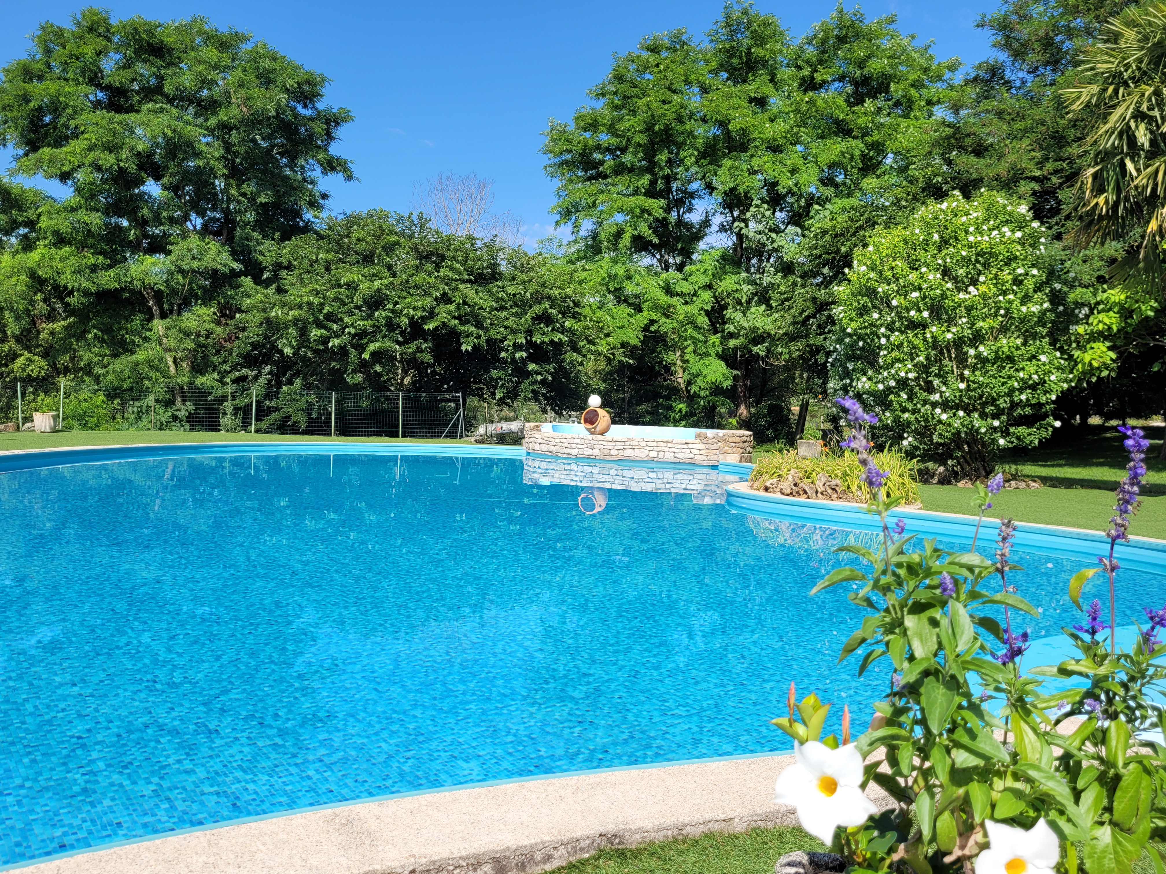 L'Oasienne, Lissac-et-Mouret - photo 2