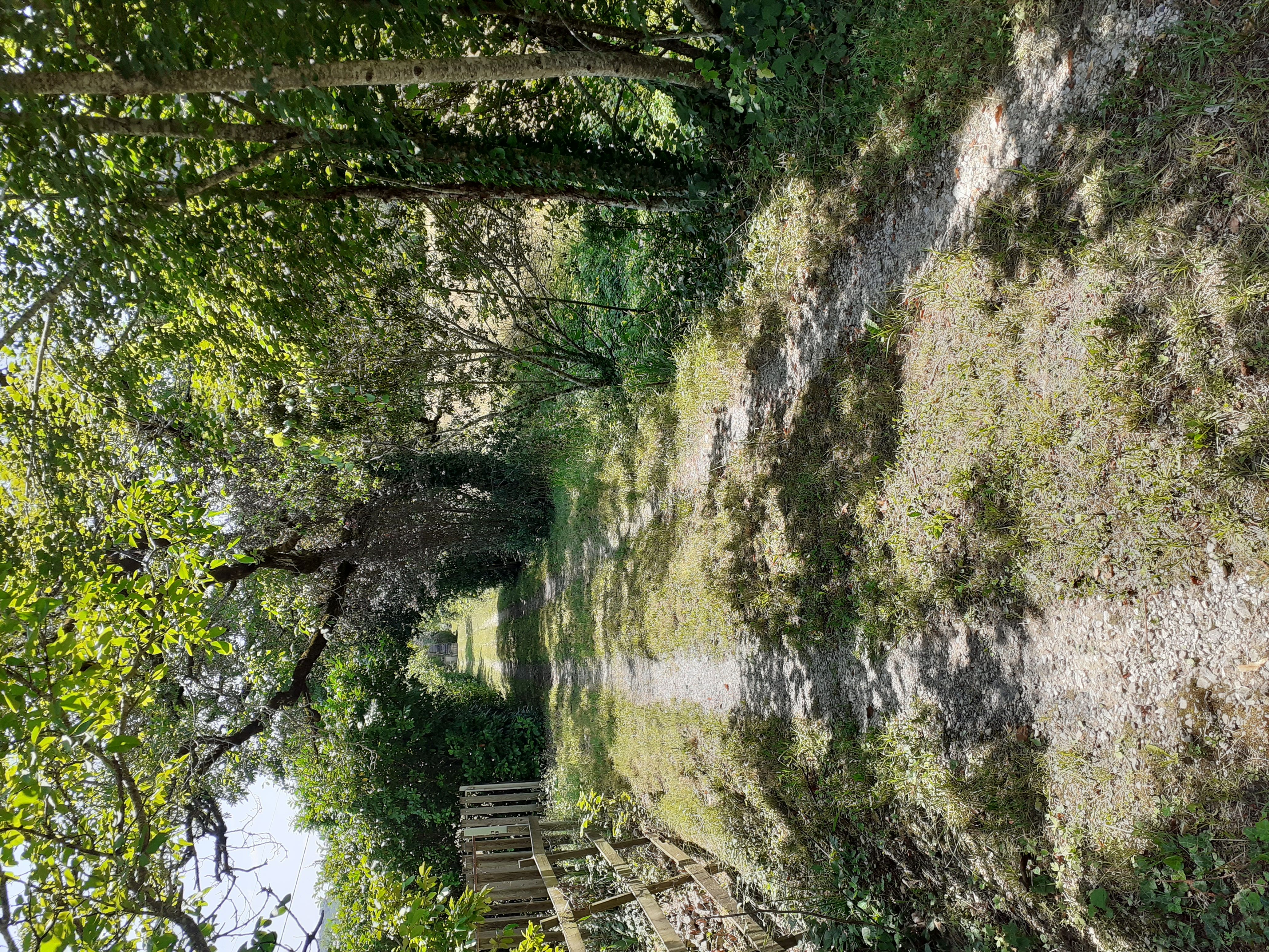 Gite le Jordy, Saint-Sulpice - photo 12