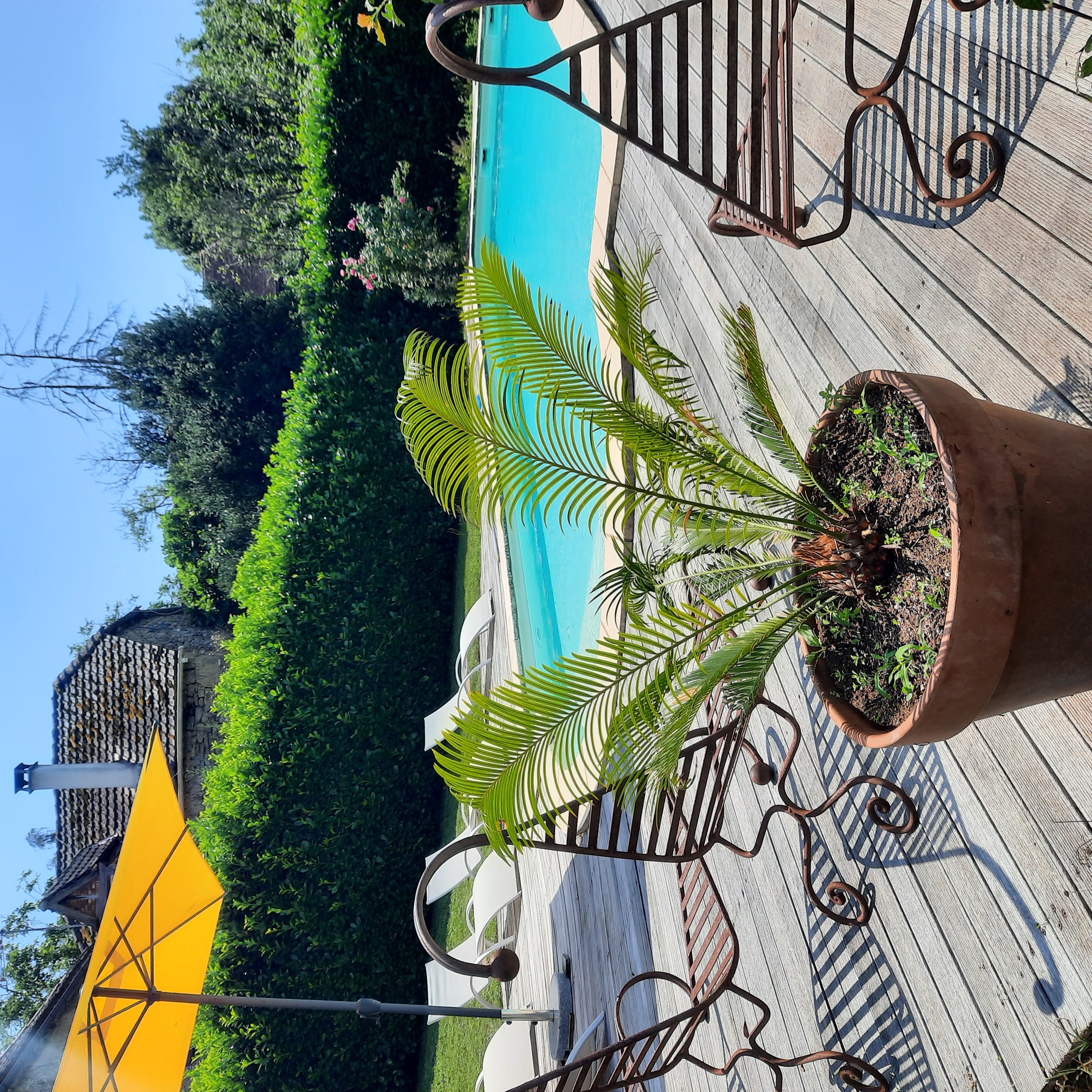 Gite Langèlerie, Saint-Michel-Loubéjou - photo 6