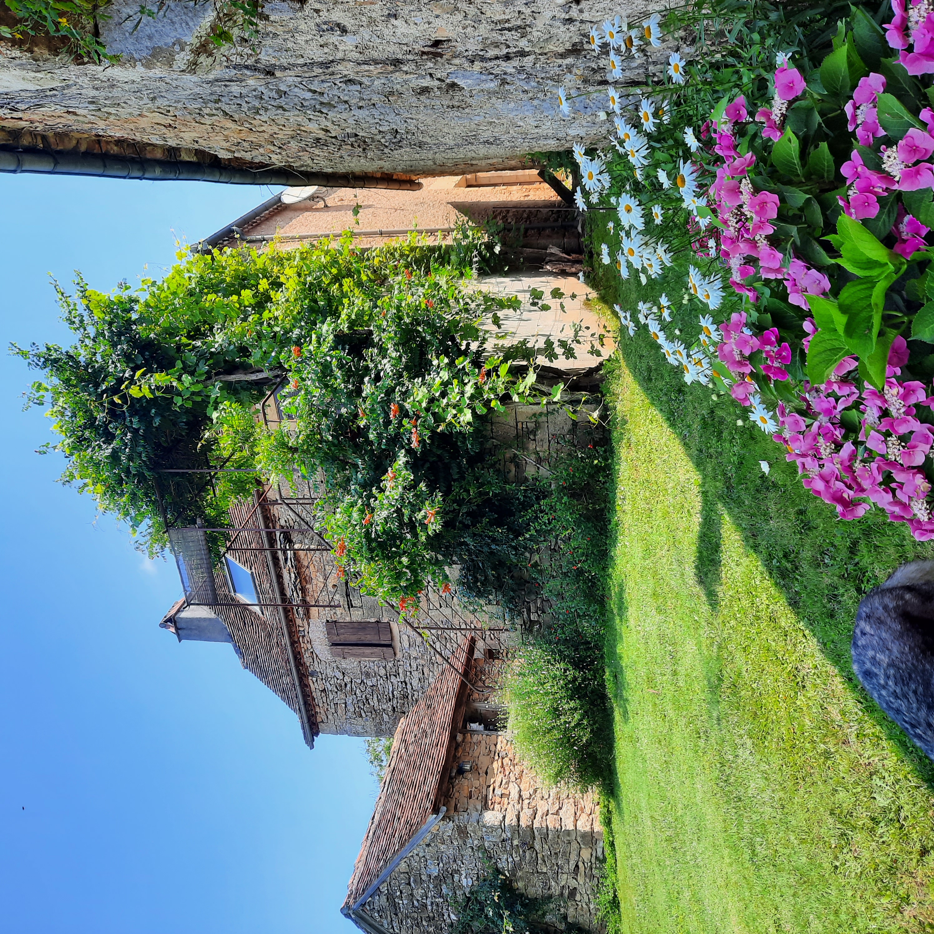 Gite Langèlerie, Saint-Michel-Loubéjou - photo 7
