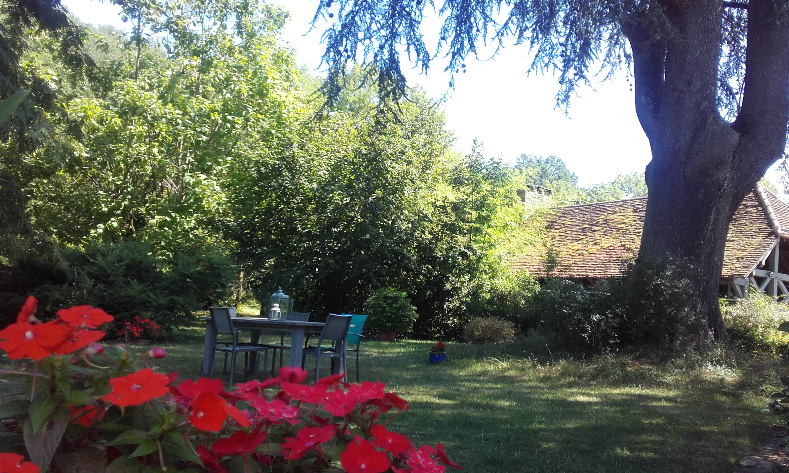 Gîte du Cèdre, Les Ecuries, Le Vignon-en-Quercy - photo 4