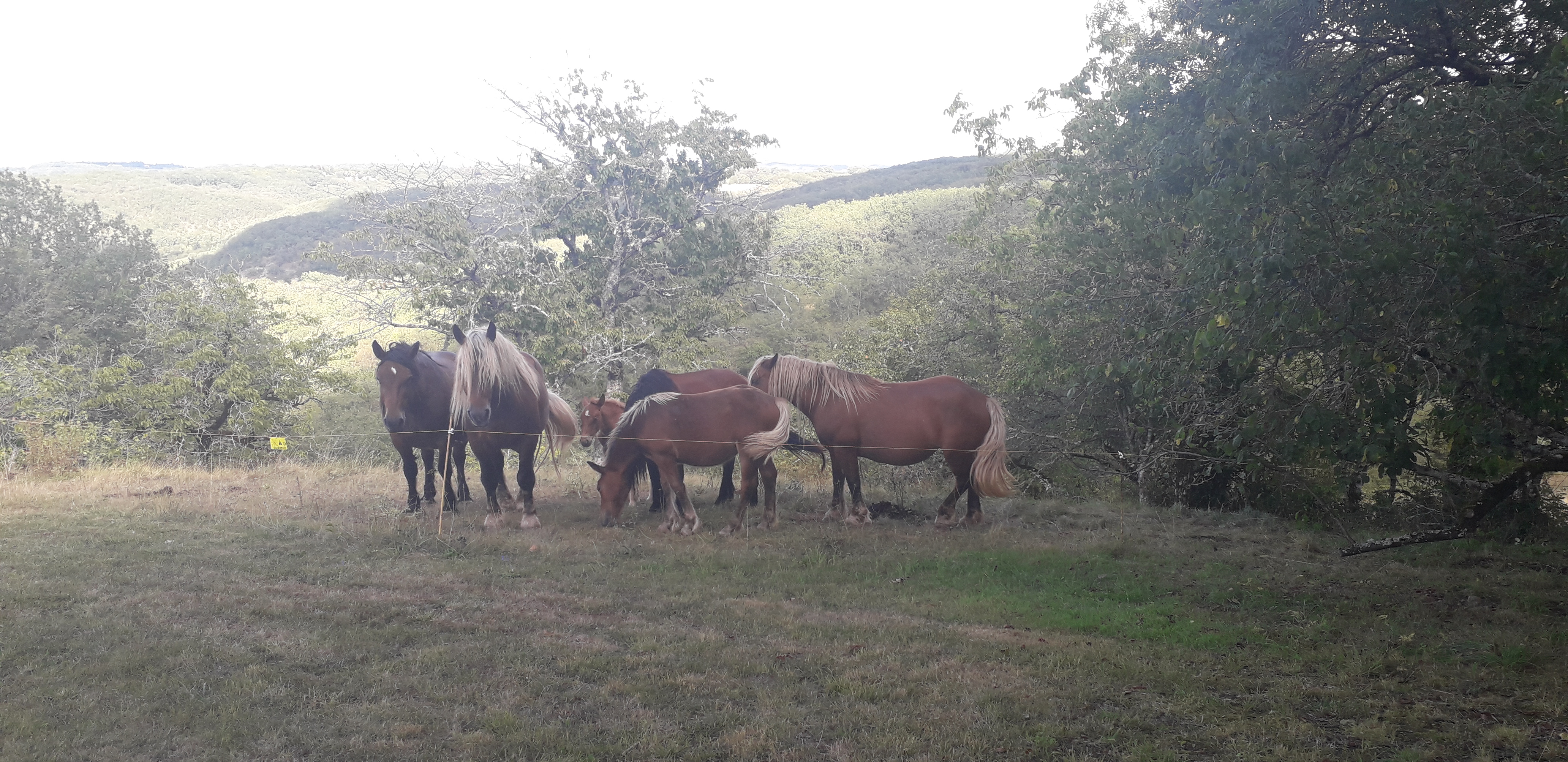 La petite maison de Lucien, Concorès - photo 3