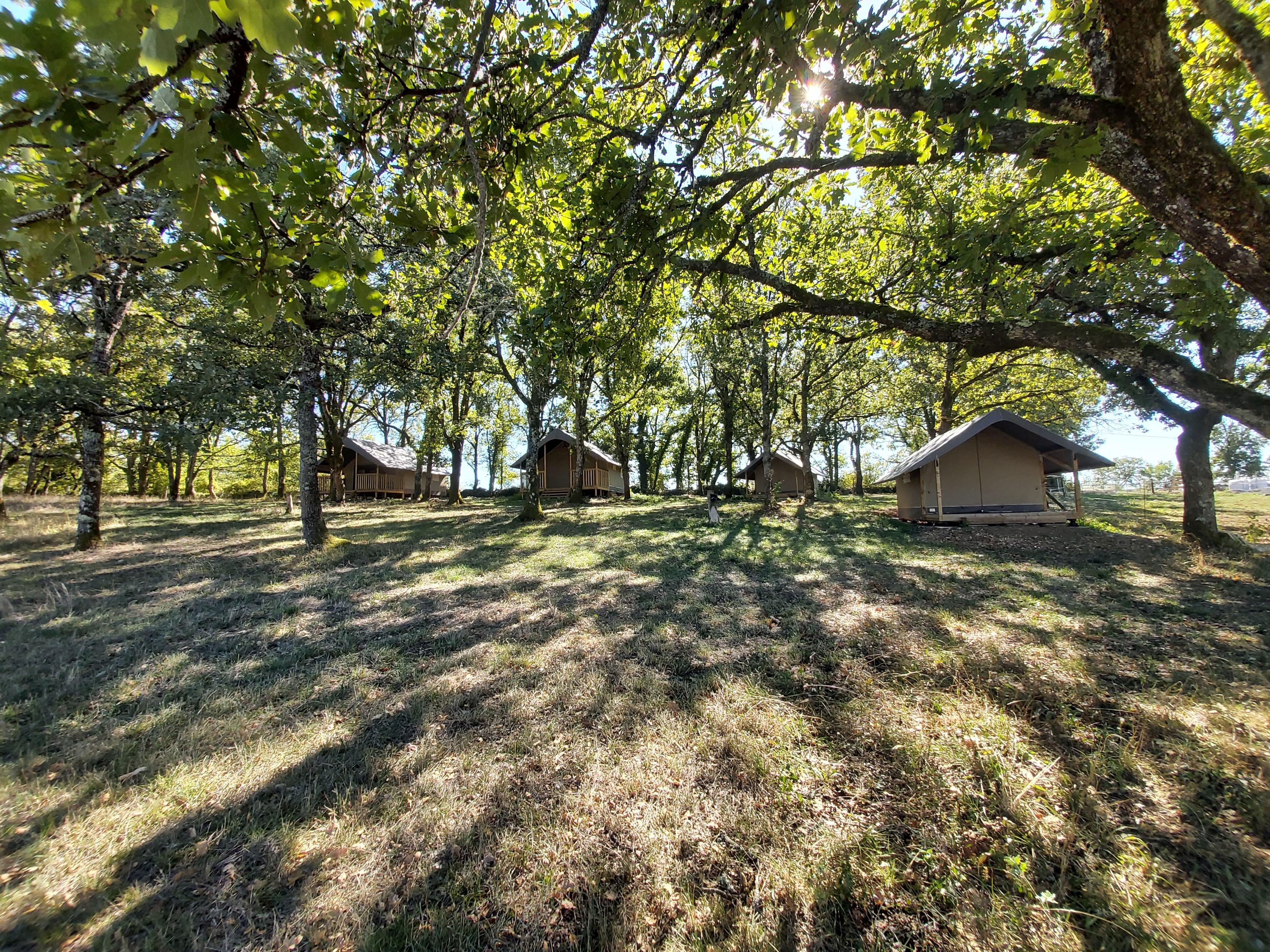 Camping Finca Baribal, Concots - photo 8