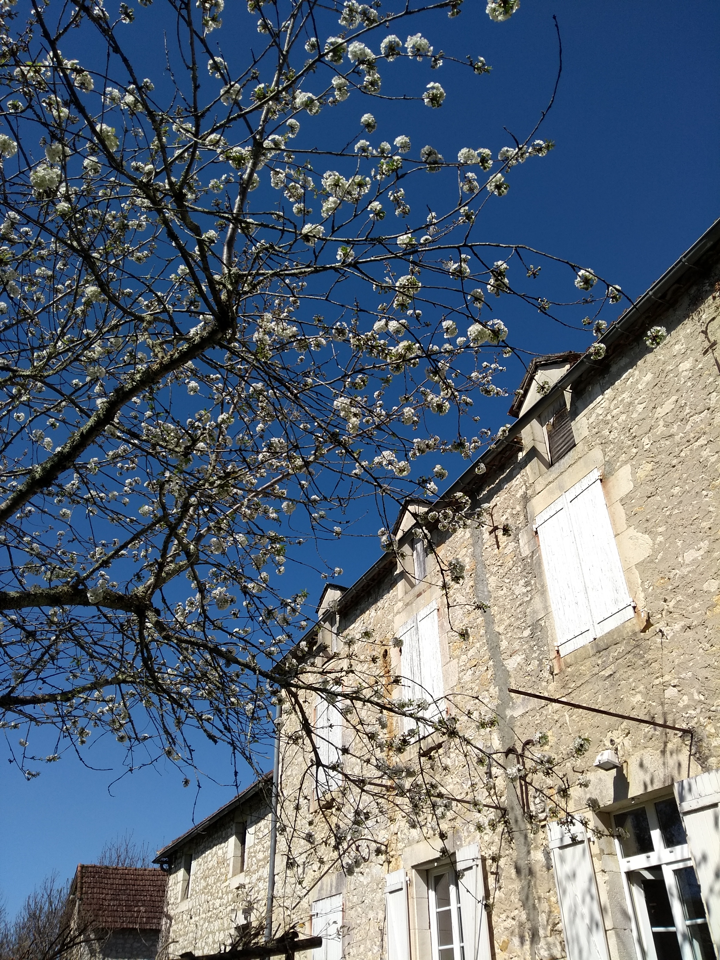 Oustal Laval, Souillac - photo 3