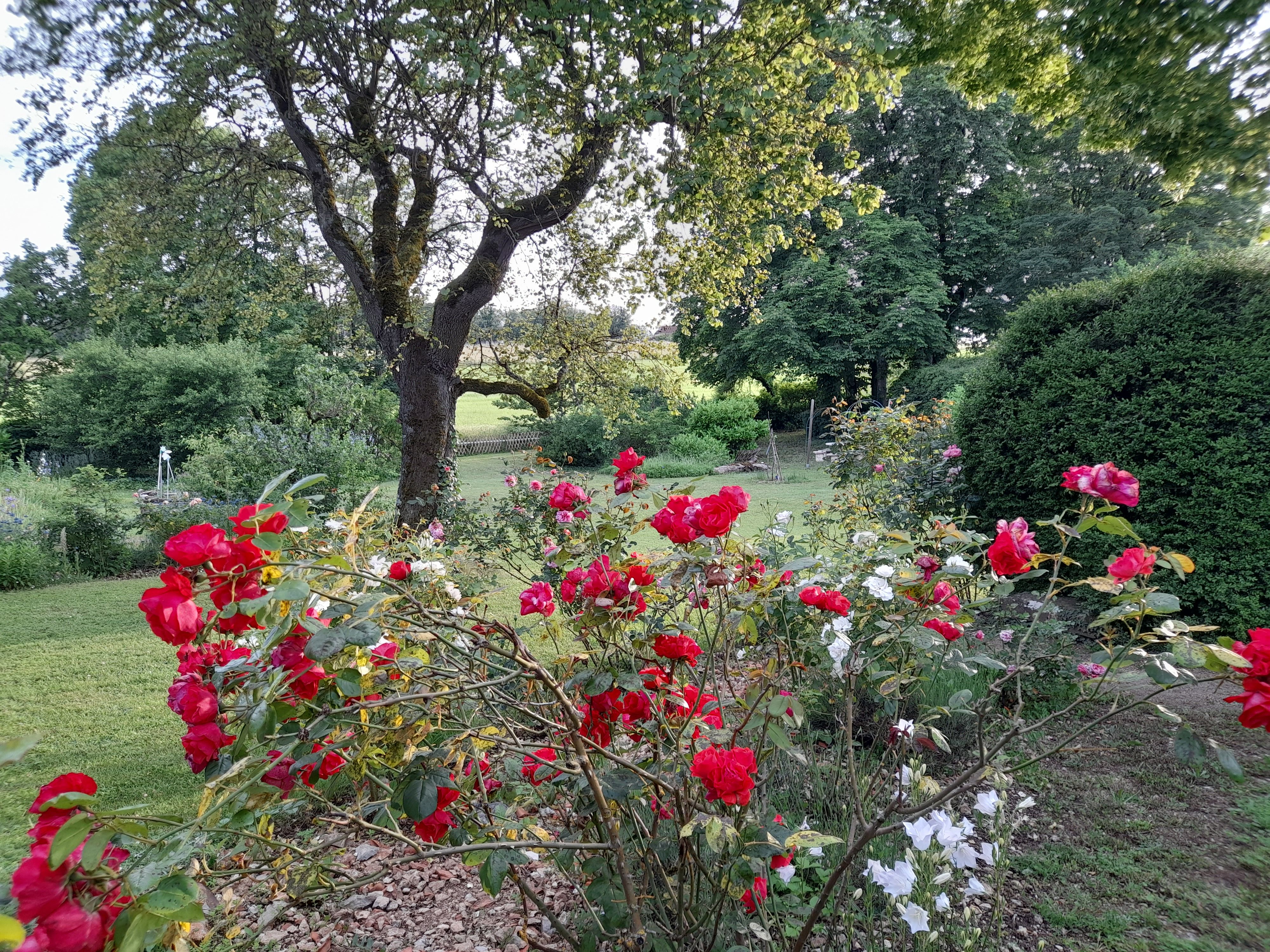 La Causserie, Gramat - photo 11