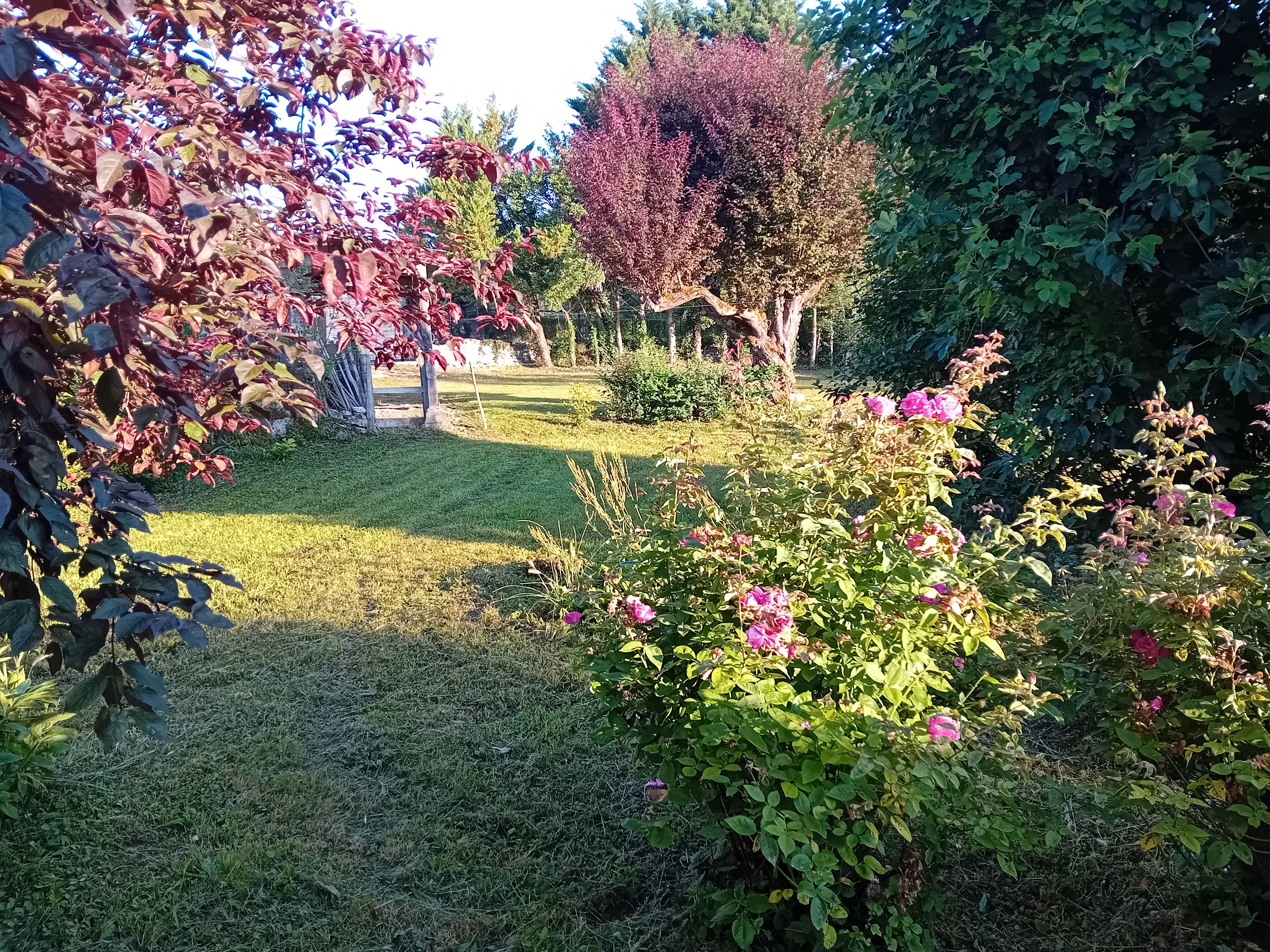 Gîte des Platanes, Lendou-en-Quercy - photo 9