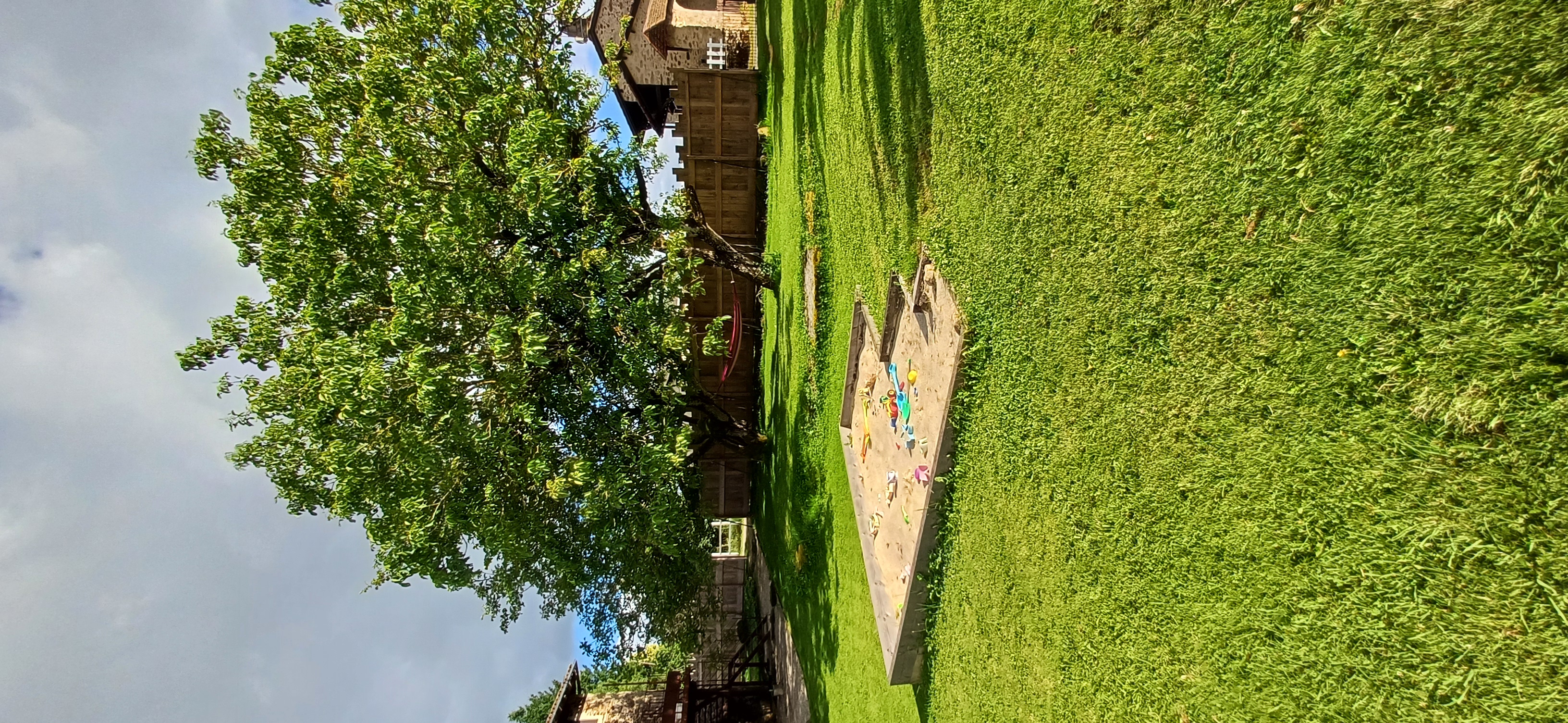 Le Prunier, Montet-et-Bouxal - photo 9