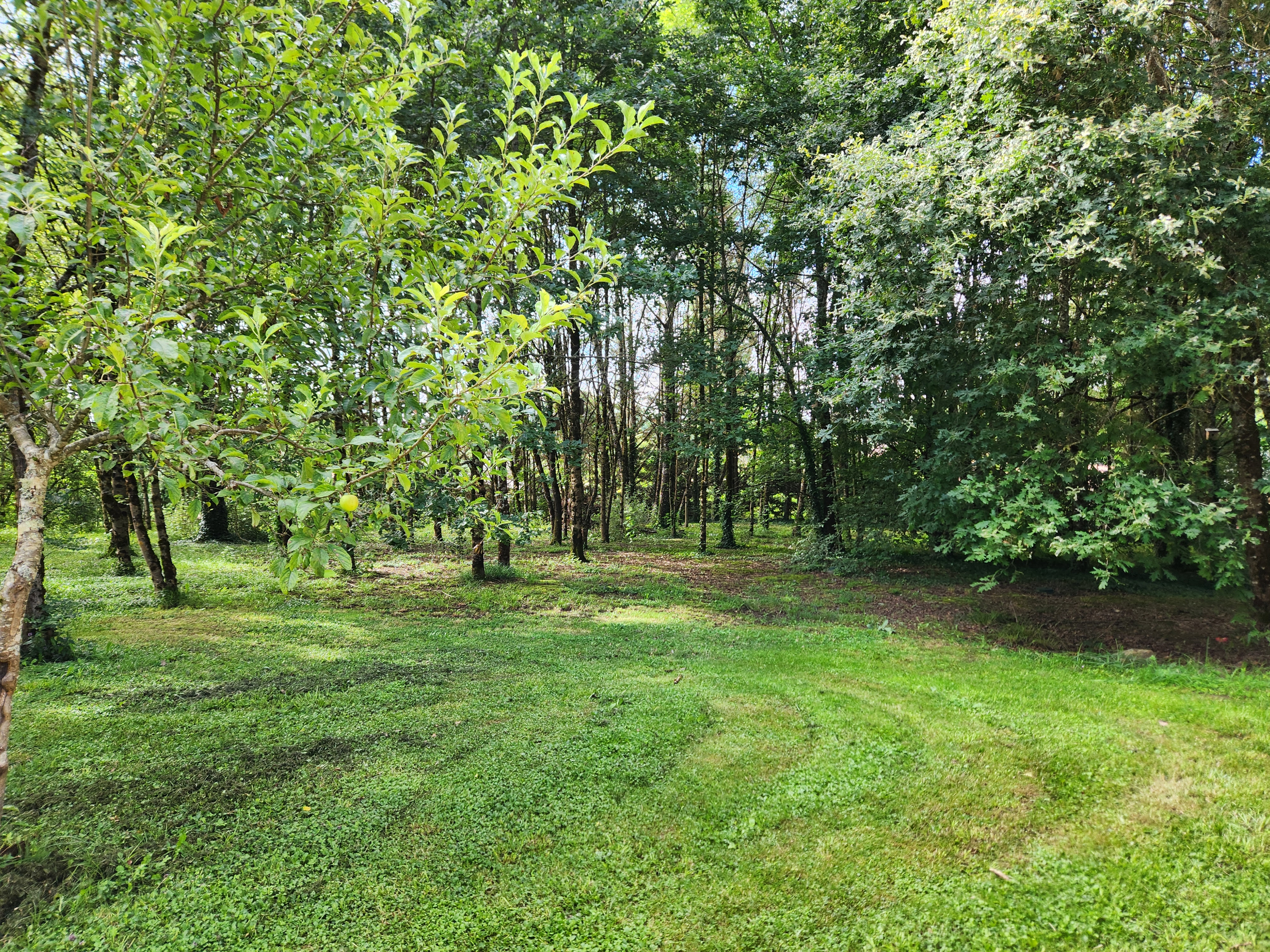 Le Petit Bois, Lavergne - photo 7