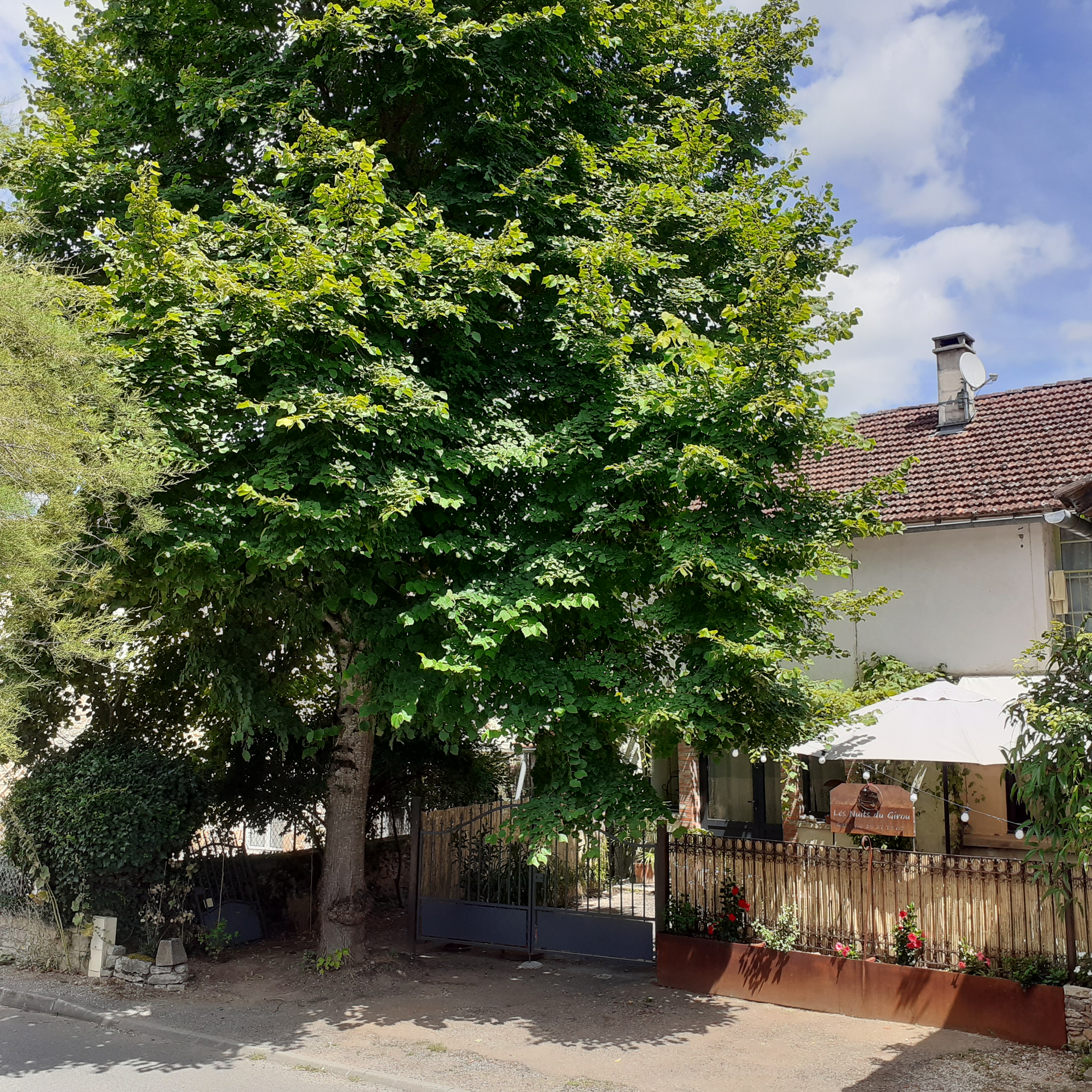 Les Nuits de Girou, Cénevières - photo 4