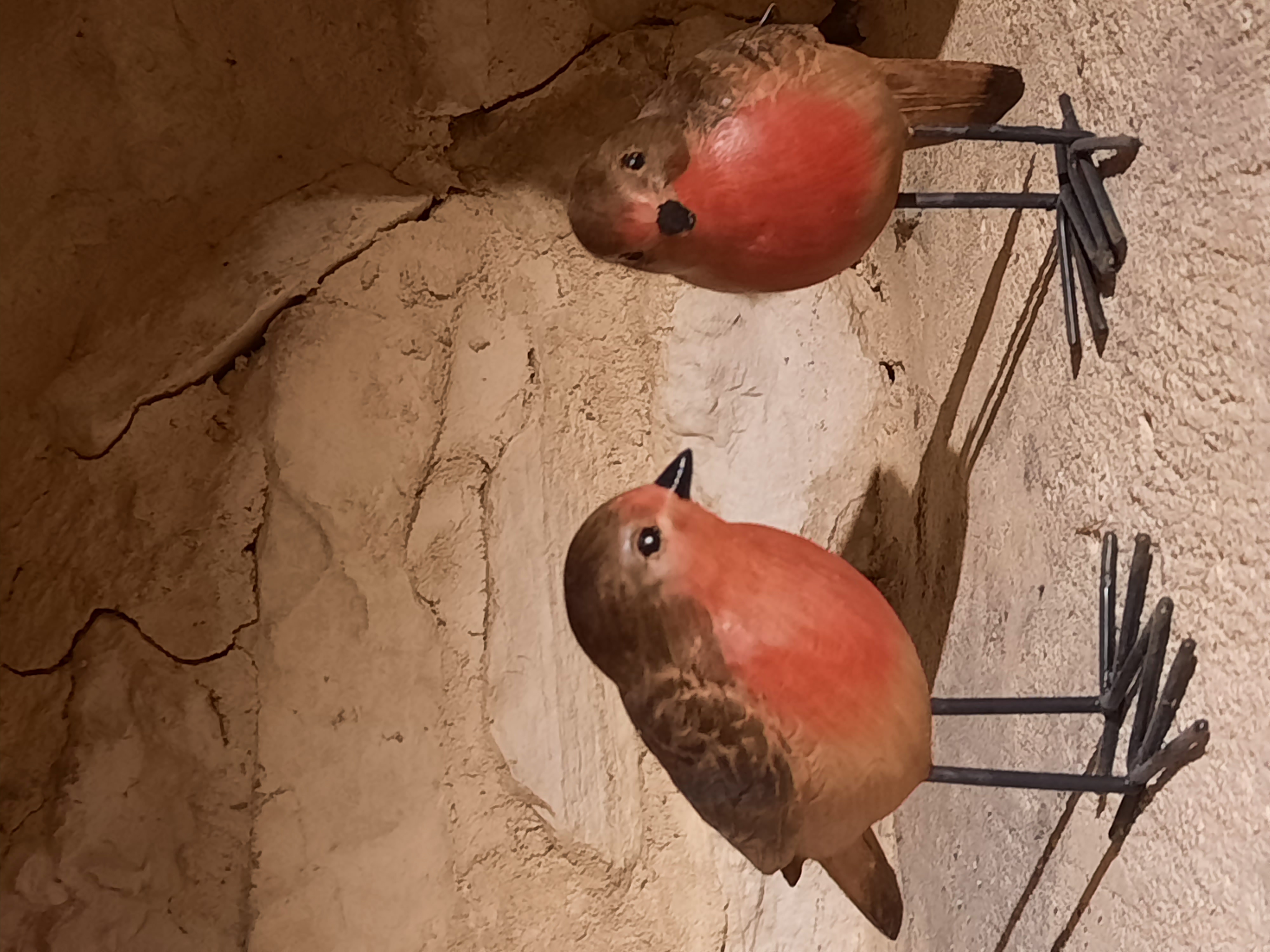 Le Petit Olivier, Saint-Cirq-Souillaguet - photo 13