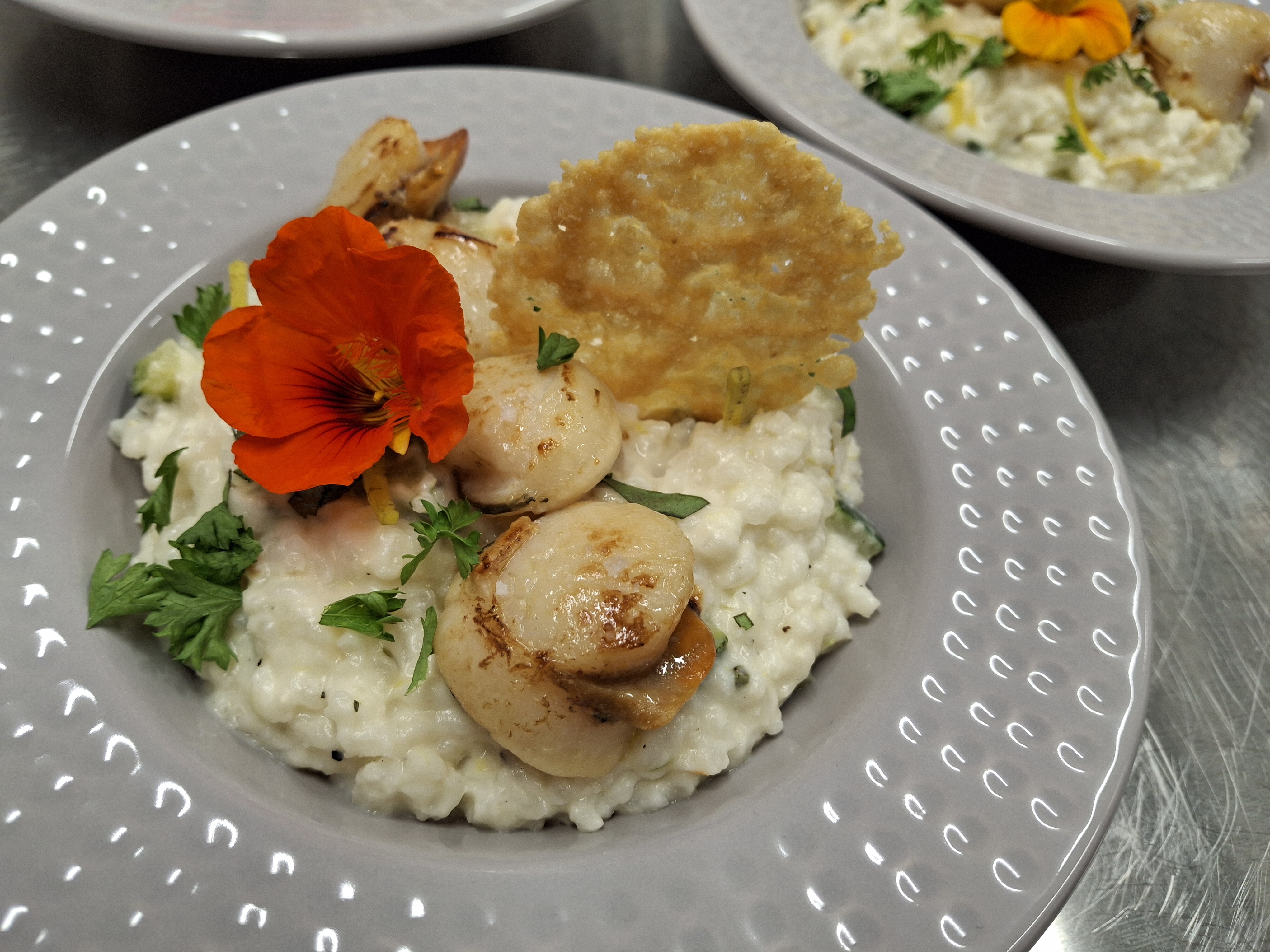 L'Oasienne, Lissac-et-Mouret - photo 19