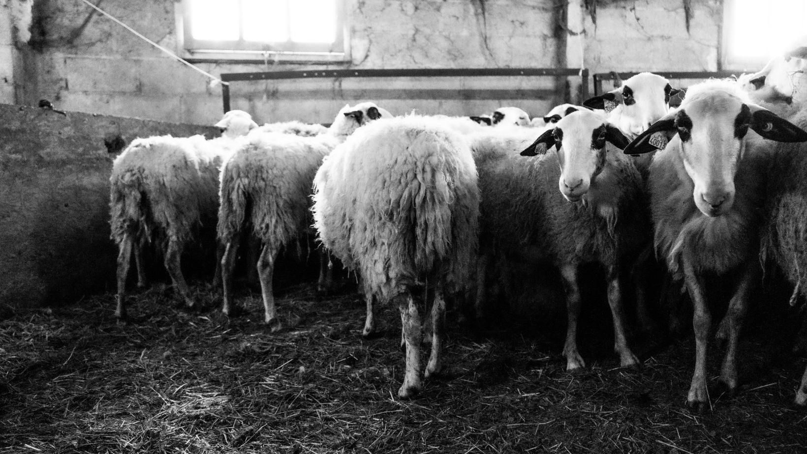 Semaine de la Fête de la Nature aux Giroflées à Figeac, Figeac
