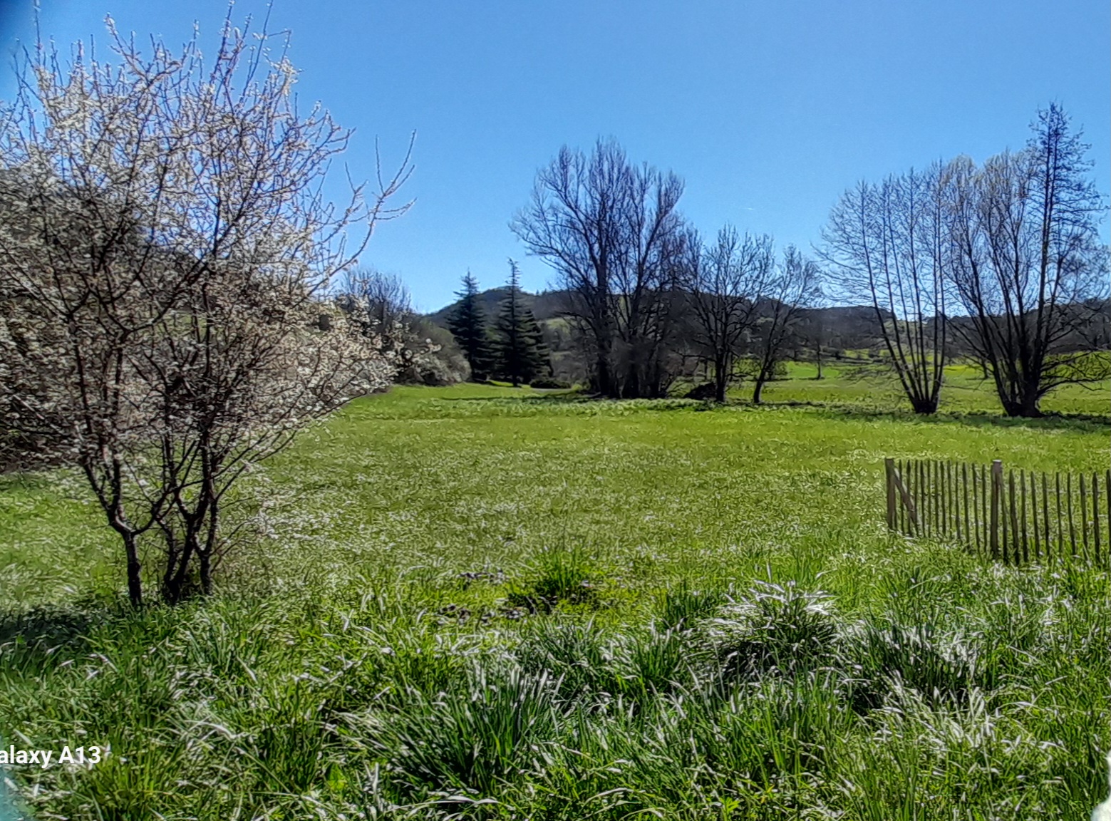 La folle avoine, Peyrilles - photo 2