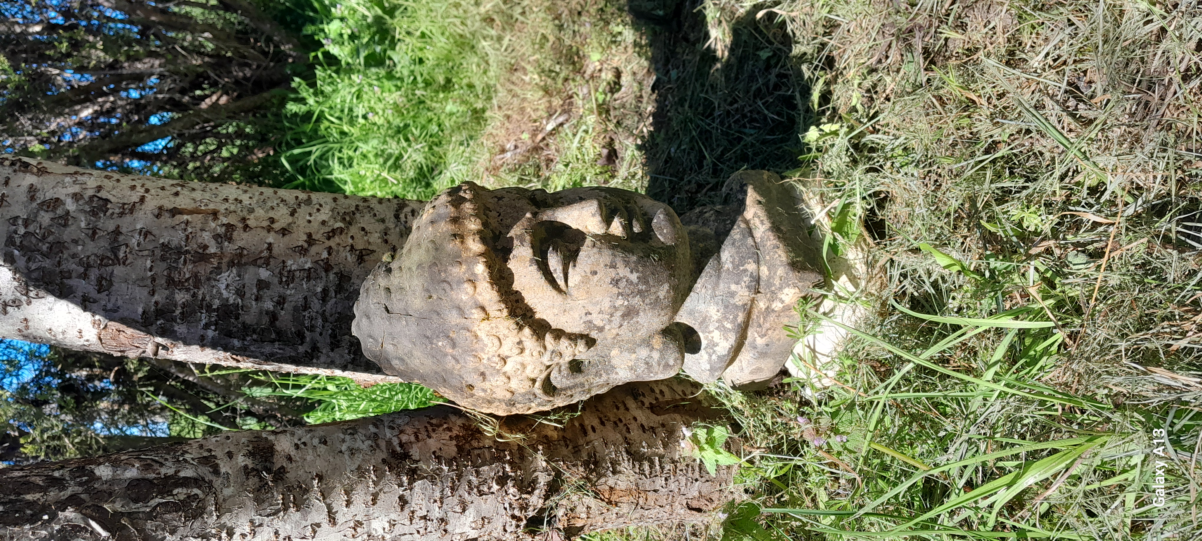 La folle avoine, Peyrilles - photo 16