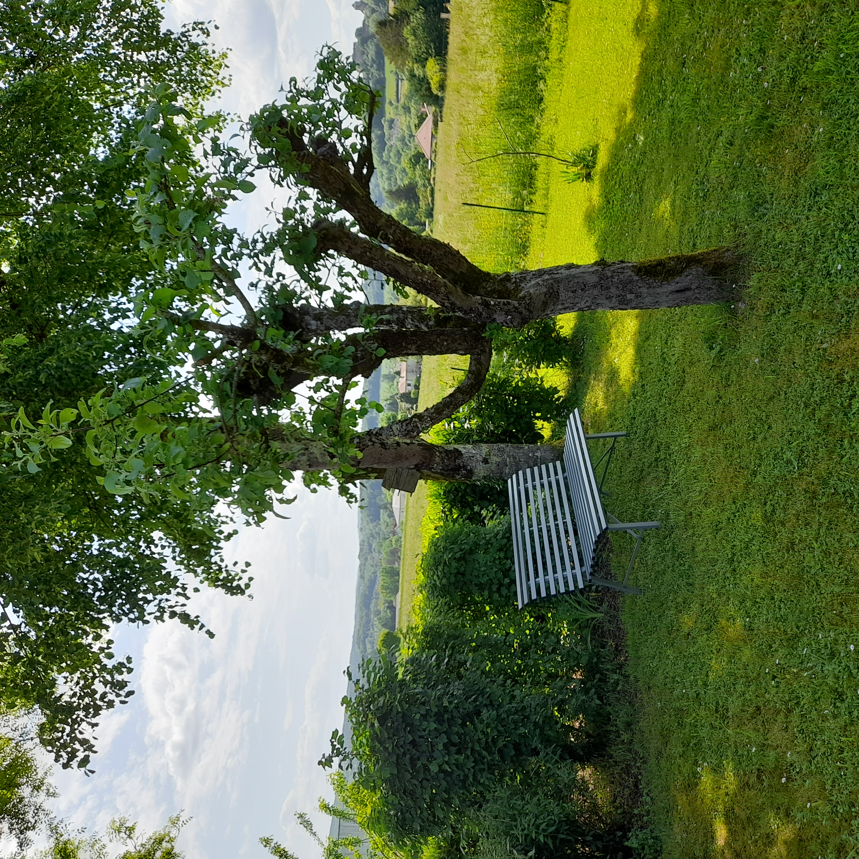 Gîte vacances "Au calme tout près de Collonge la Rouge", Cavagnac - photo 2