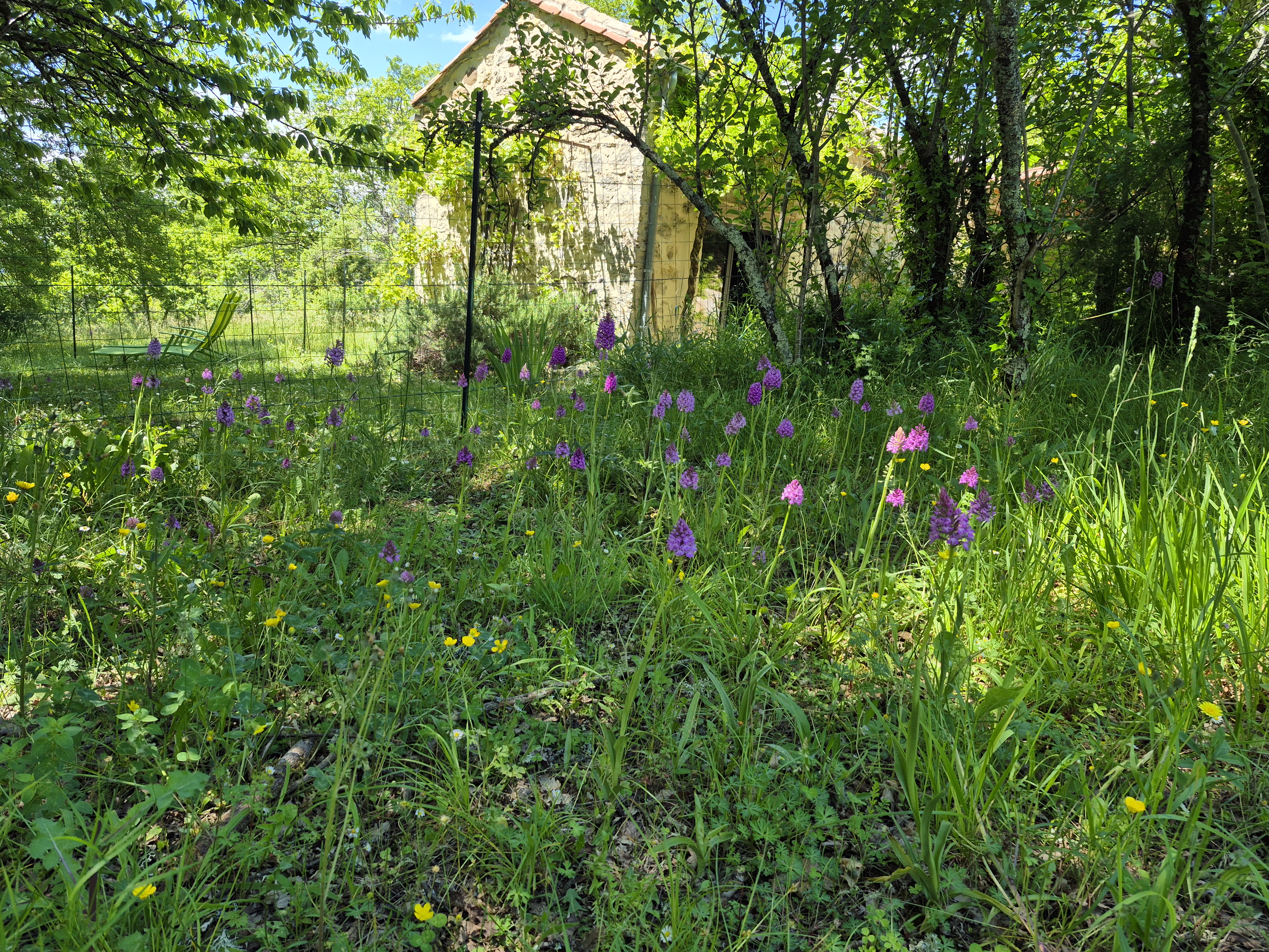 Le Soupadou, Albas - photo 4