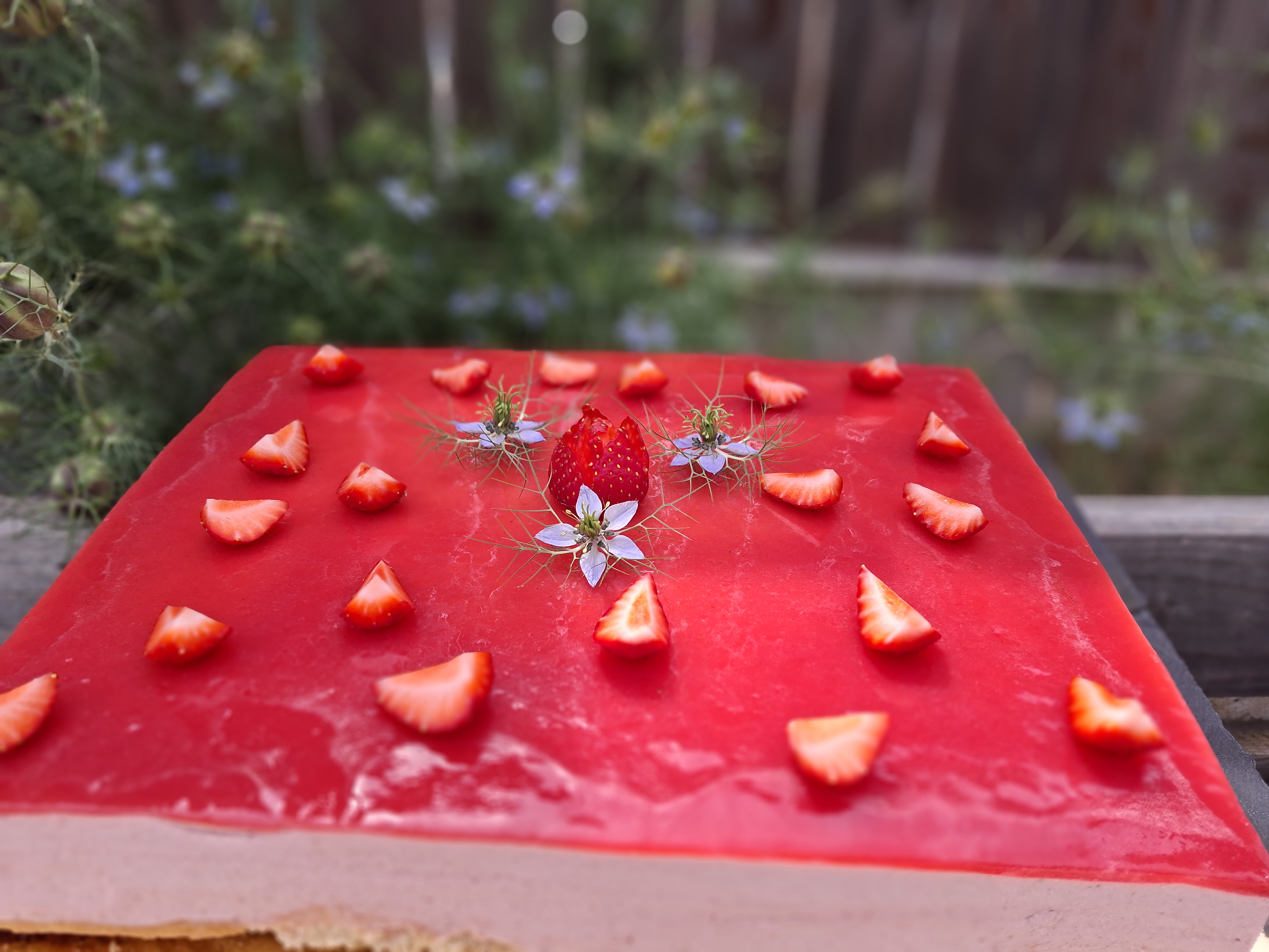 L'Oasienne, Lissac-et-Mouret - photo 22