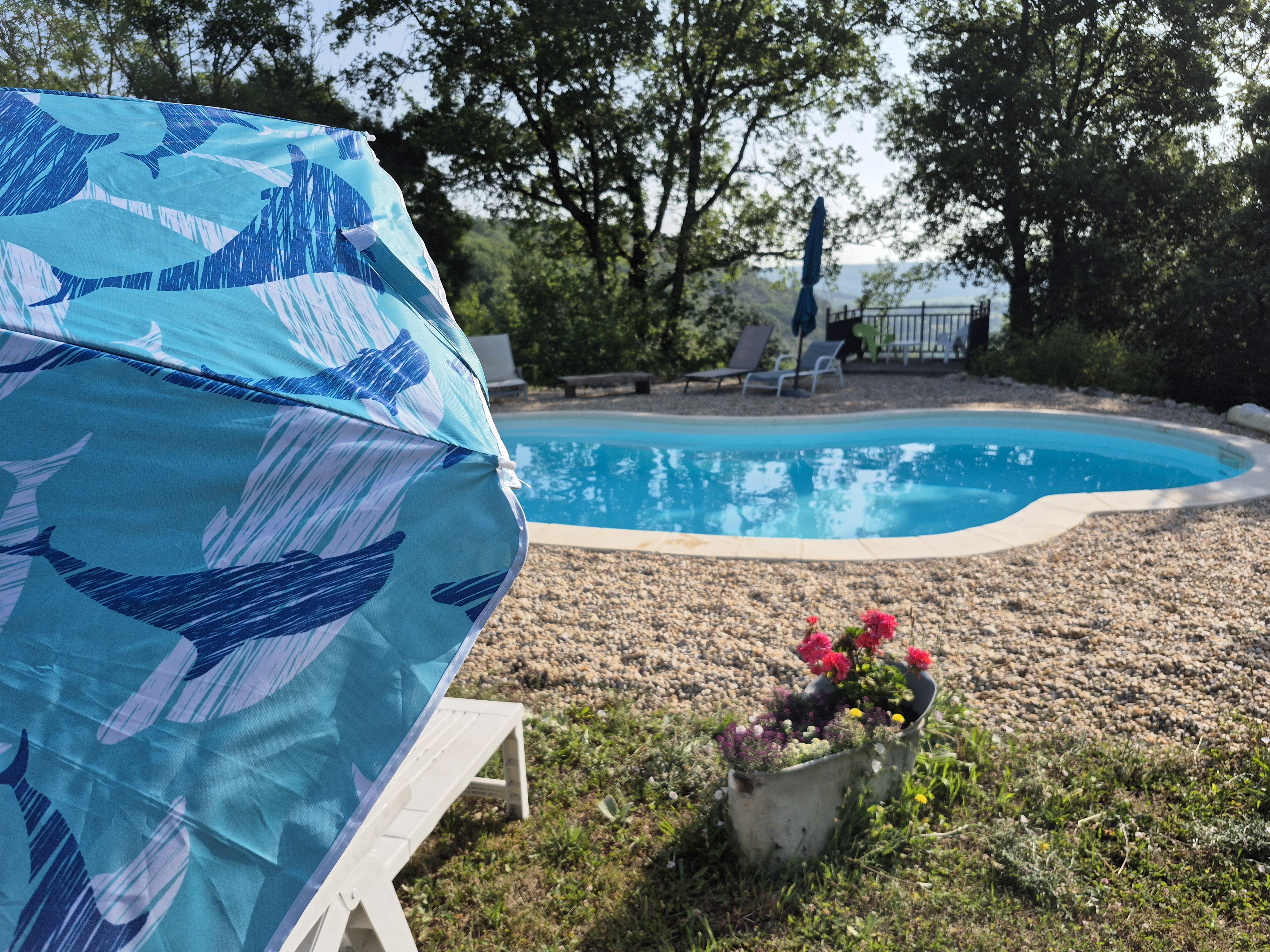 Lou Bas, Albas - photo 2