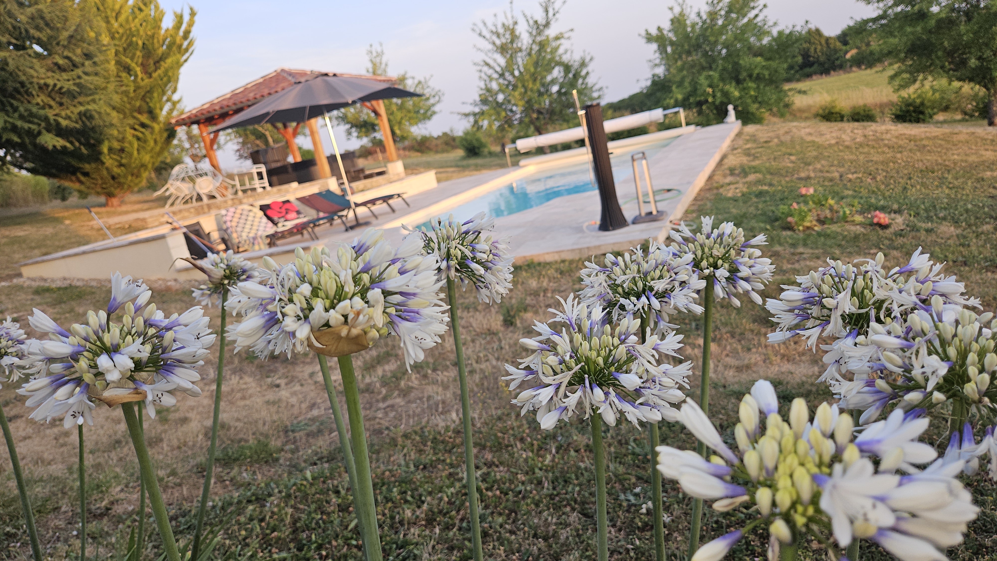 L'Orchidée Sauvage, Thédirac - photo 3