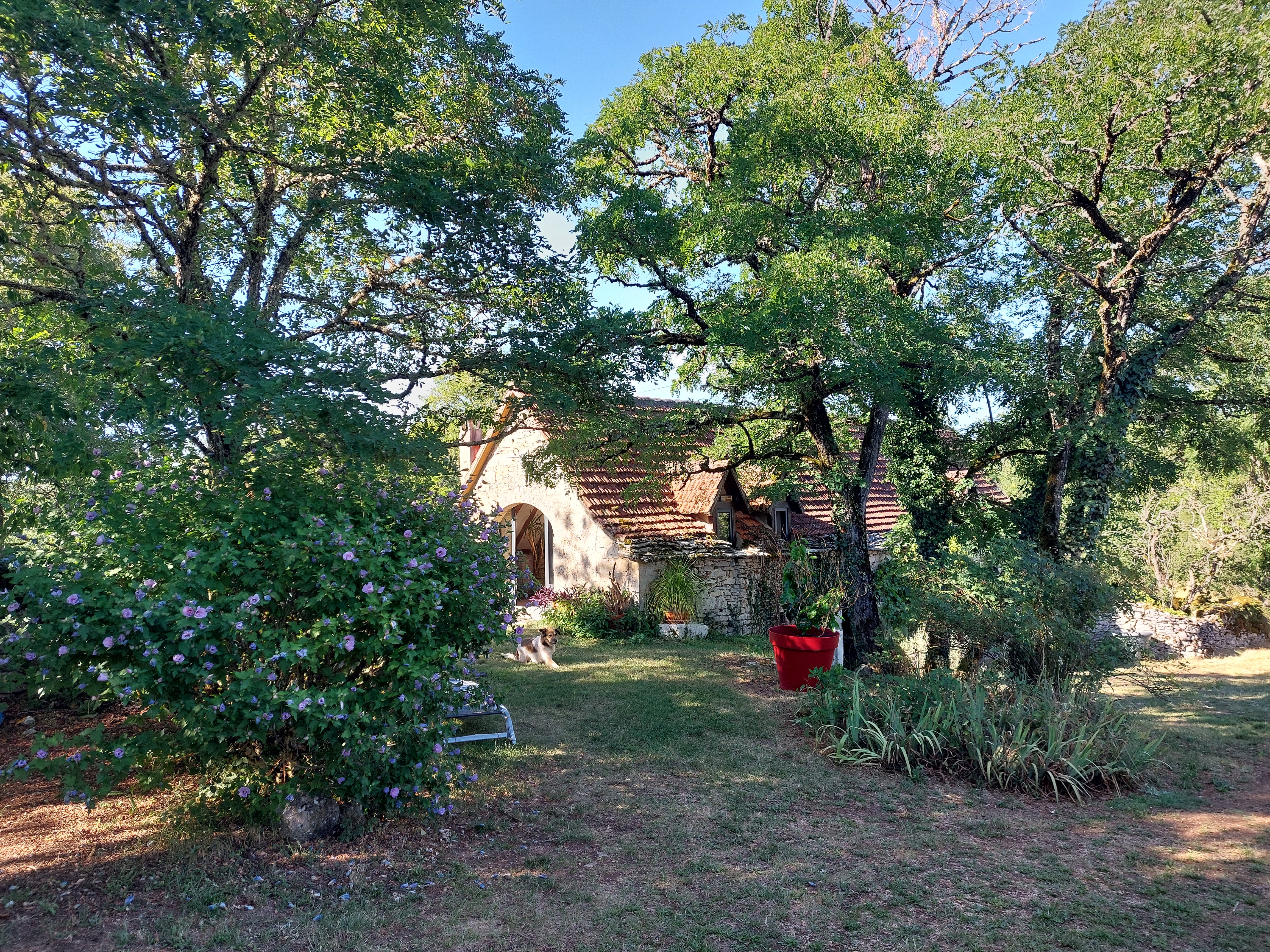 La Bergerie de Gréalou, Gréalou - photo 3