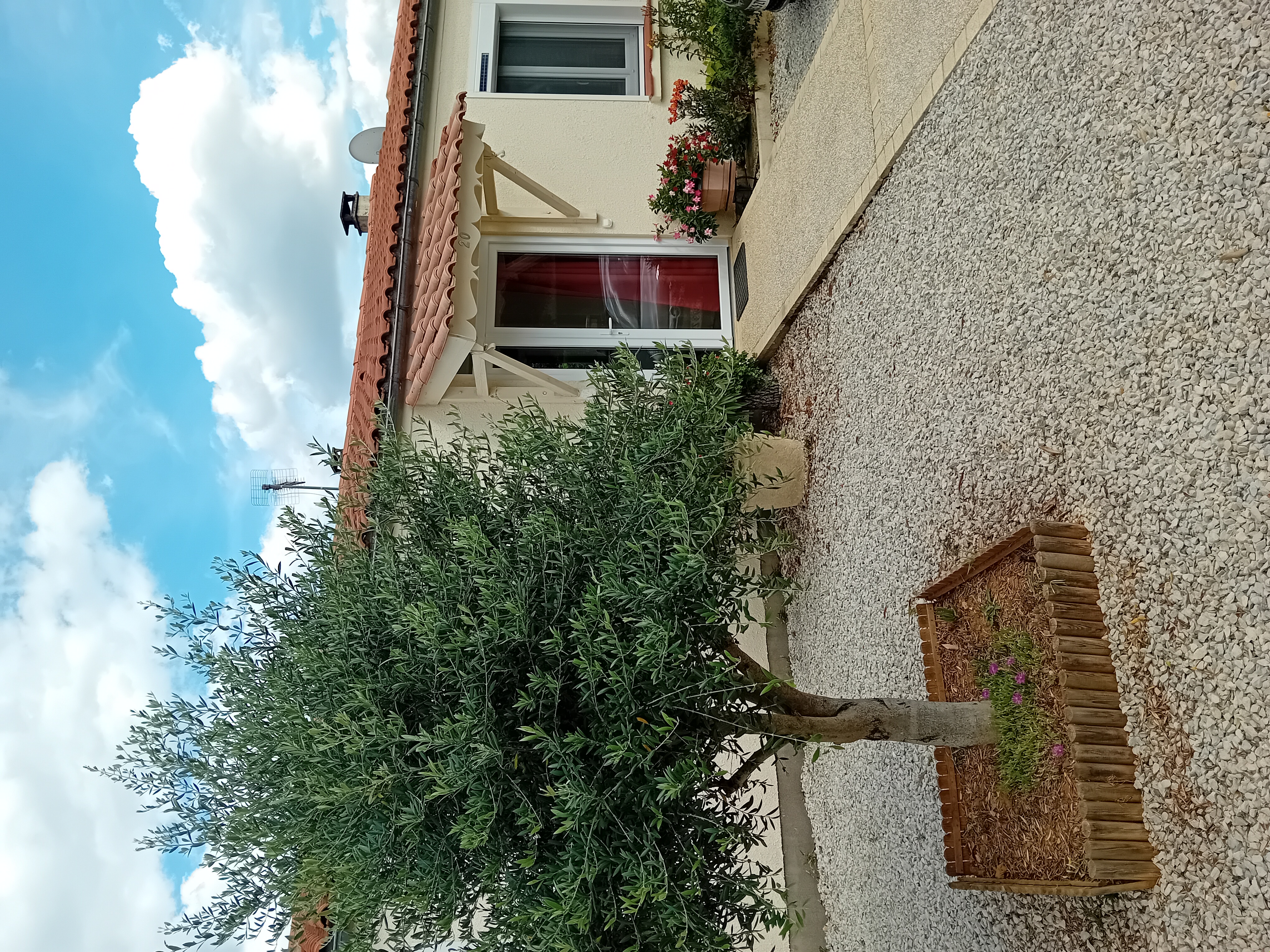 L'aubépine 20