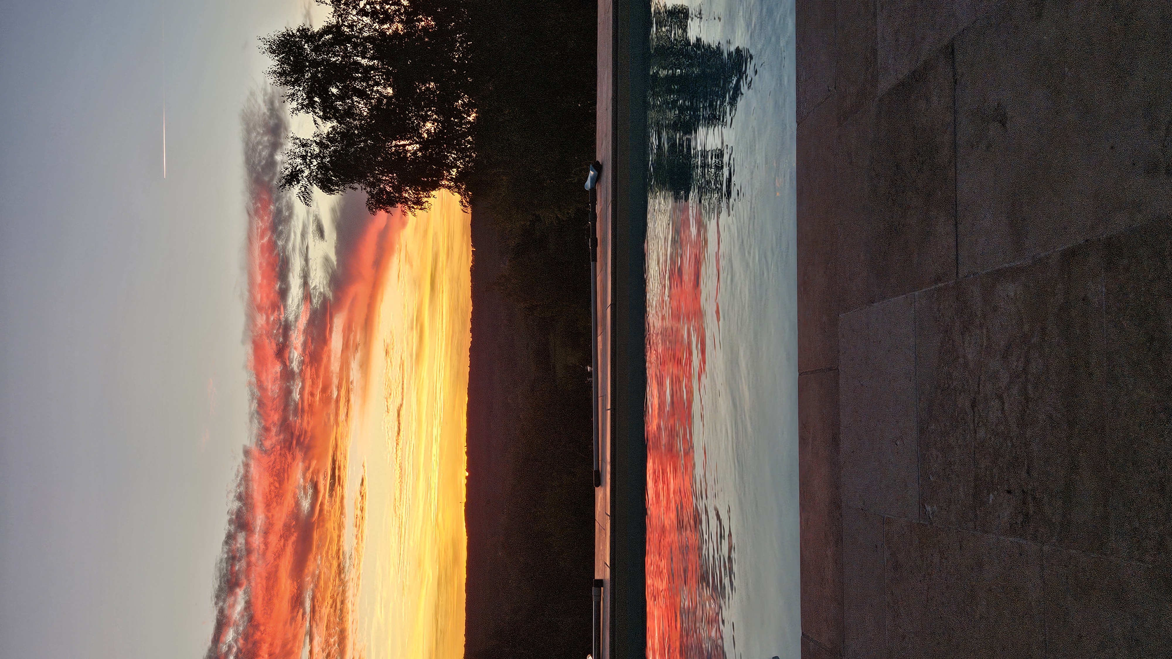 L'Orchidée Sauvage, Thédirac - photo 5