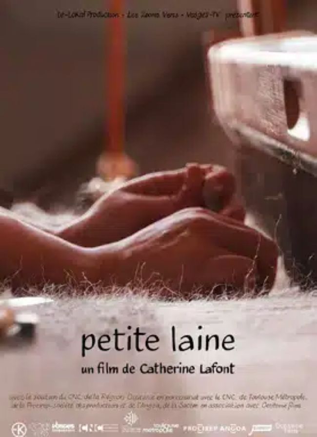 Ciné'fil avec le Festival de la laine et le Cinéma Charles Boyer à Figeac — visuel événement
