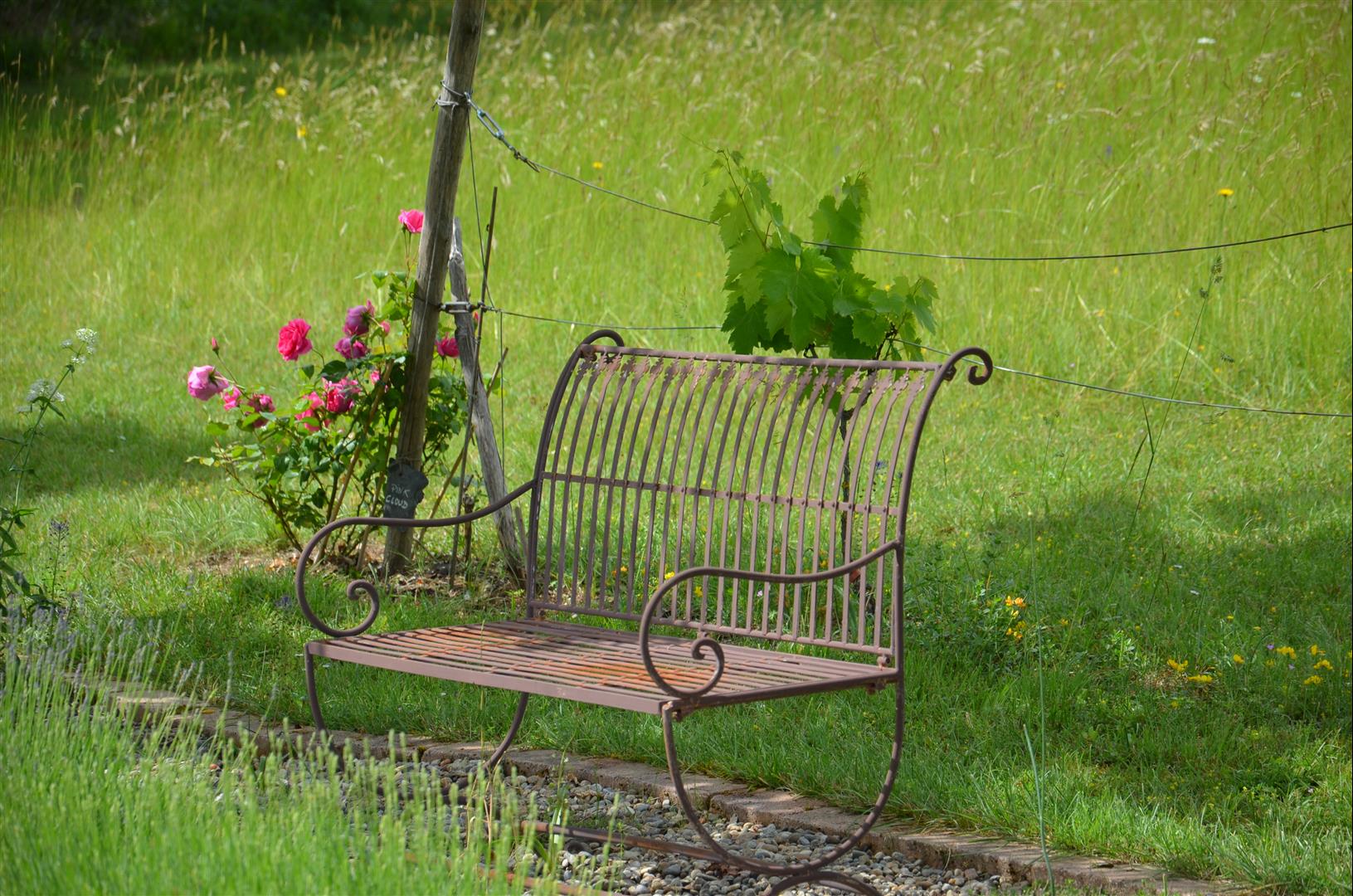 Les Gîtes du Rigaudou - Rigaudou, Saint-Denis-lès-Martel - photo 14