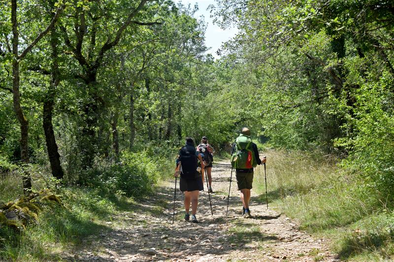 Boucle itinérante - Sur les pas de Saint-Jacques en Quercy Blanc