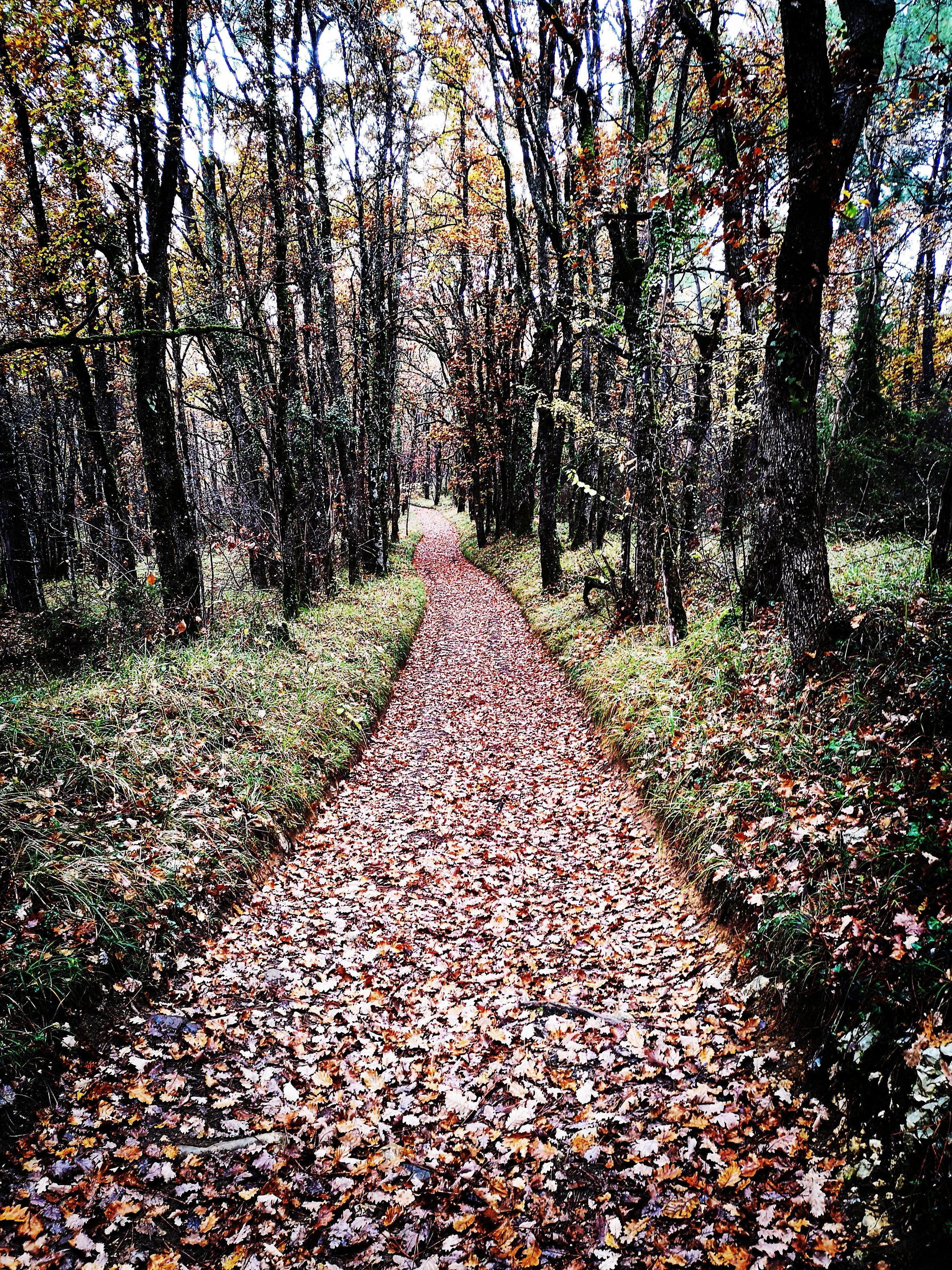 Circuit d'Al Tuc, Bélaye - photo 2