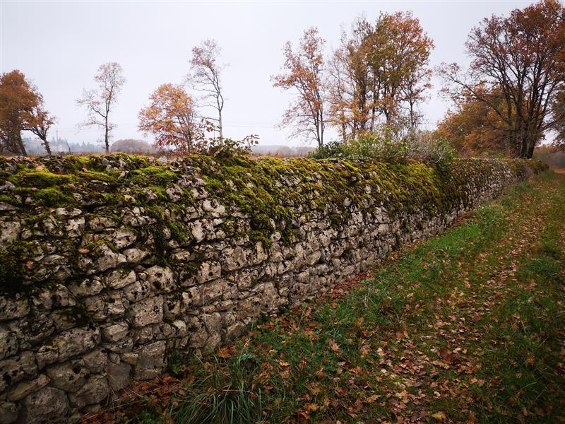 211126_Muret Lacapelle -