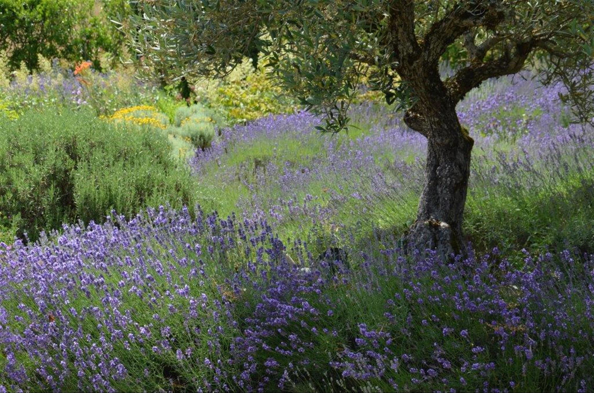 Les Gîtes du Rigaudou - Durocher, Saint-Denis-lès-Martel - photo 15