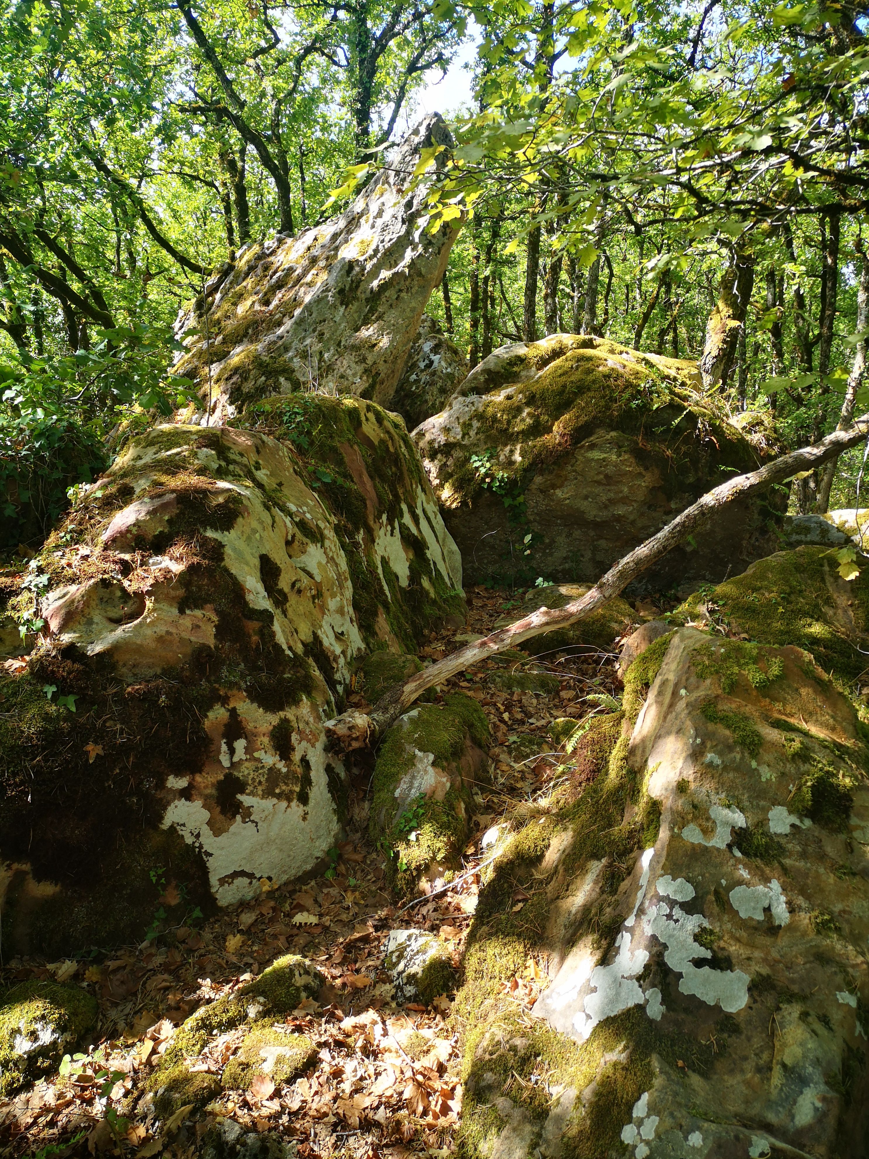 Circuit Autour de la Vallée de la Masse, Les Junies - photo 4