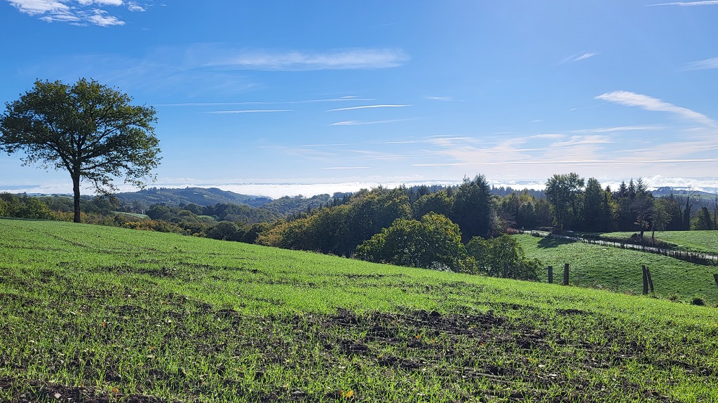 Journée du patrimoine à Labathude : visite guidée, Chataigneraie et sécadou