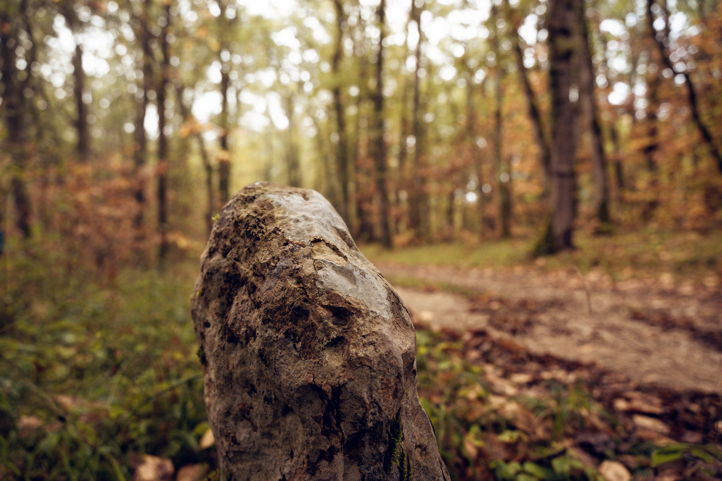 Sentier de Linars, Concorès - photo 2