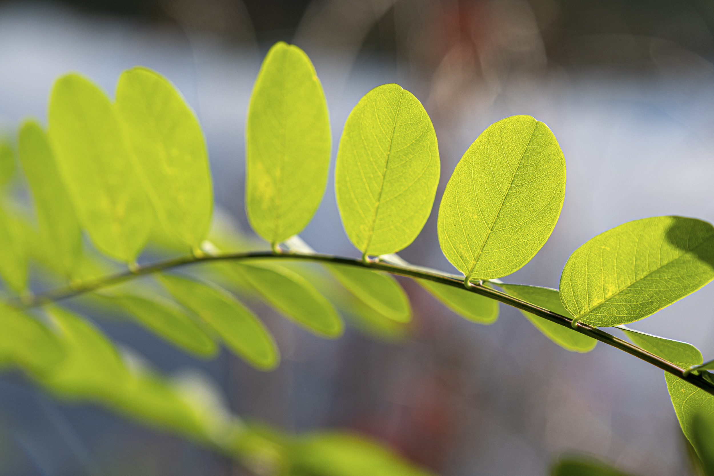 Célé'té en vallée du Célé : pollution de l'eau, une brève histoire du néolithique aux stations d'épuration