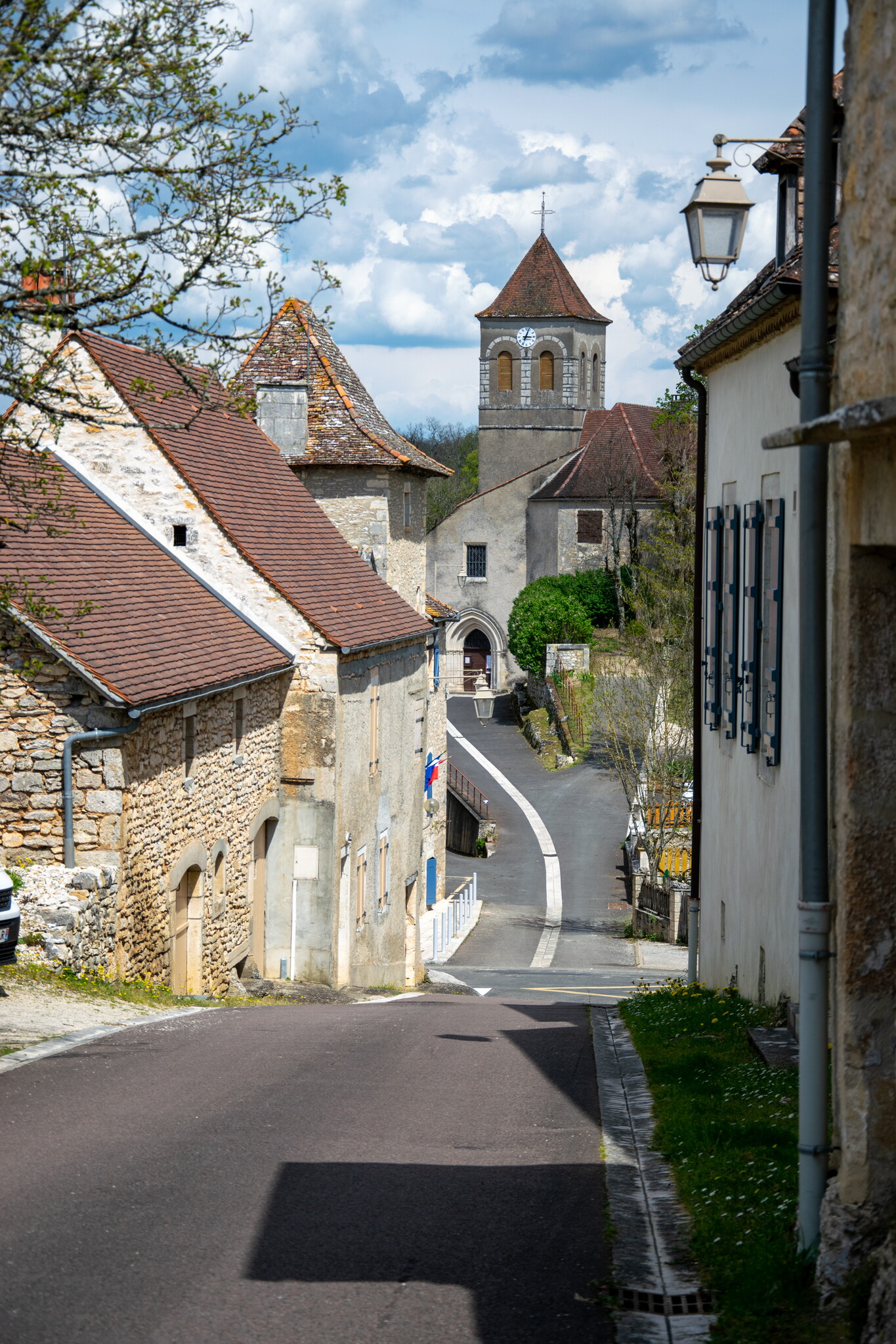 Les prairies naturelles : un patrimoine à préserver