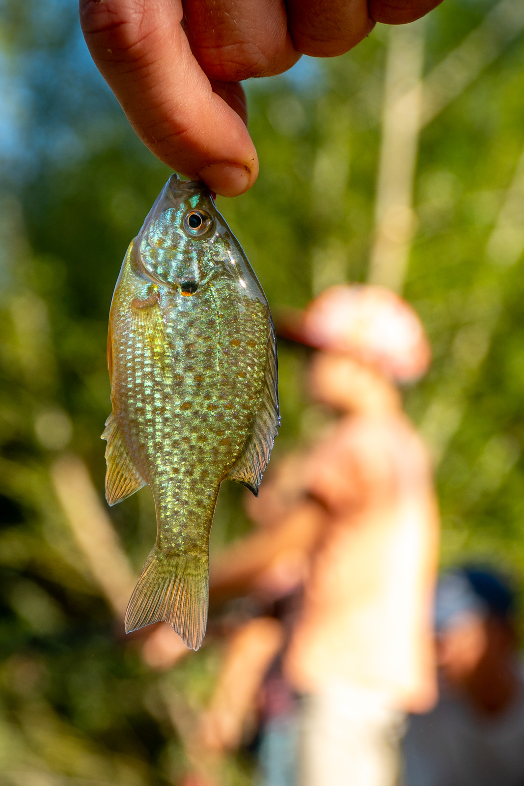Concours de pêche