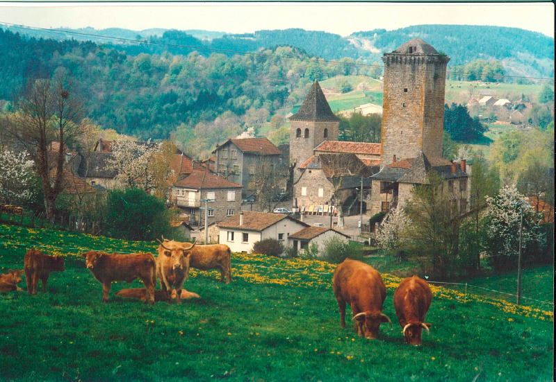 Dans les Châtaigneraies du Ségala