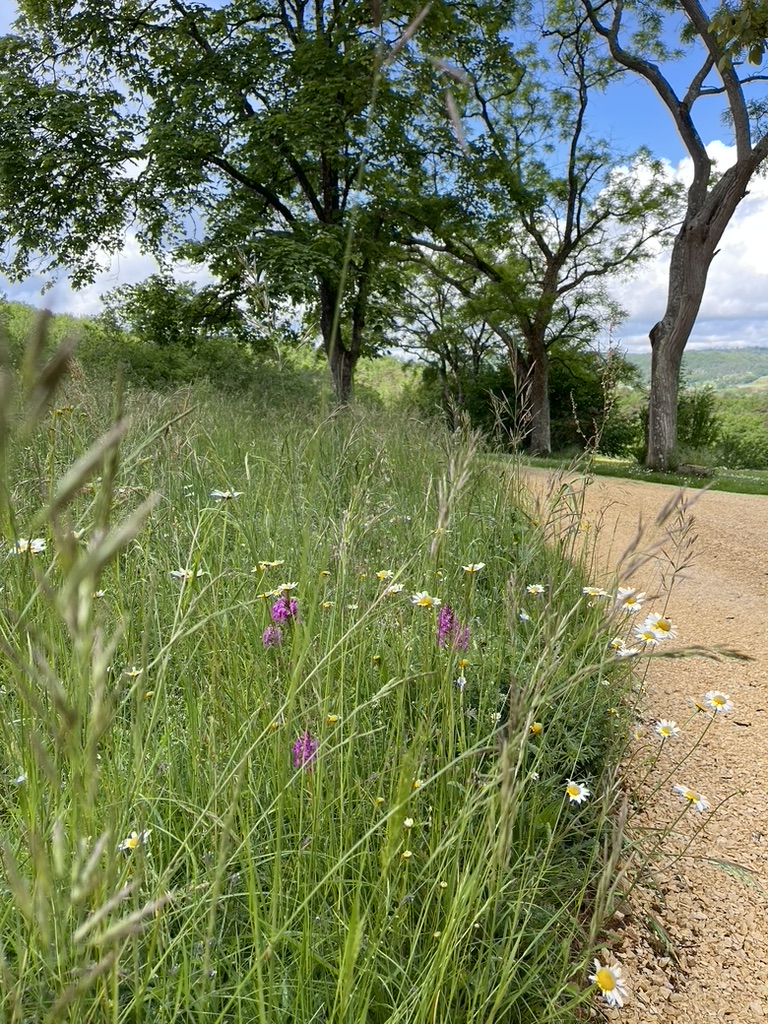 Domaine de Belbouys - Gîte La Ferme, Soturac - photo 5