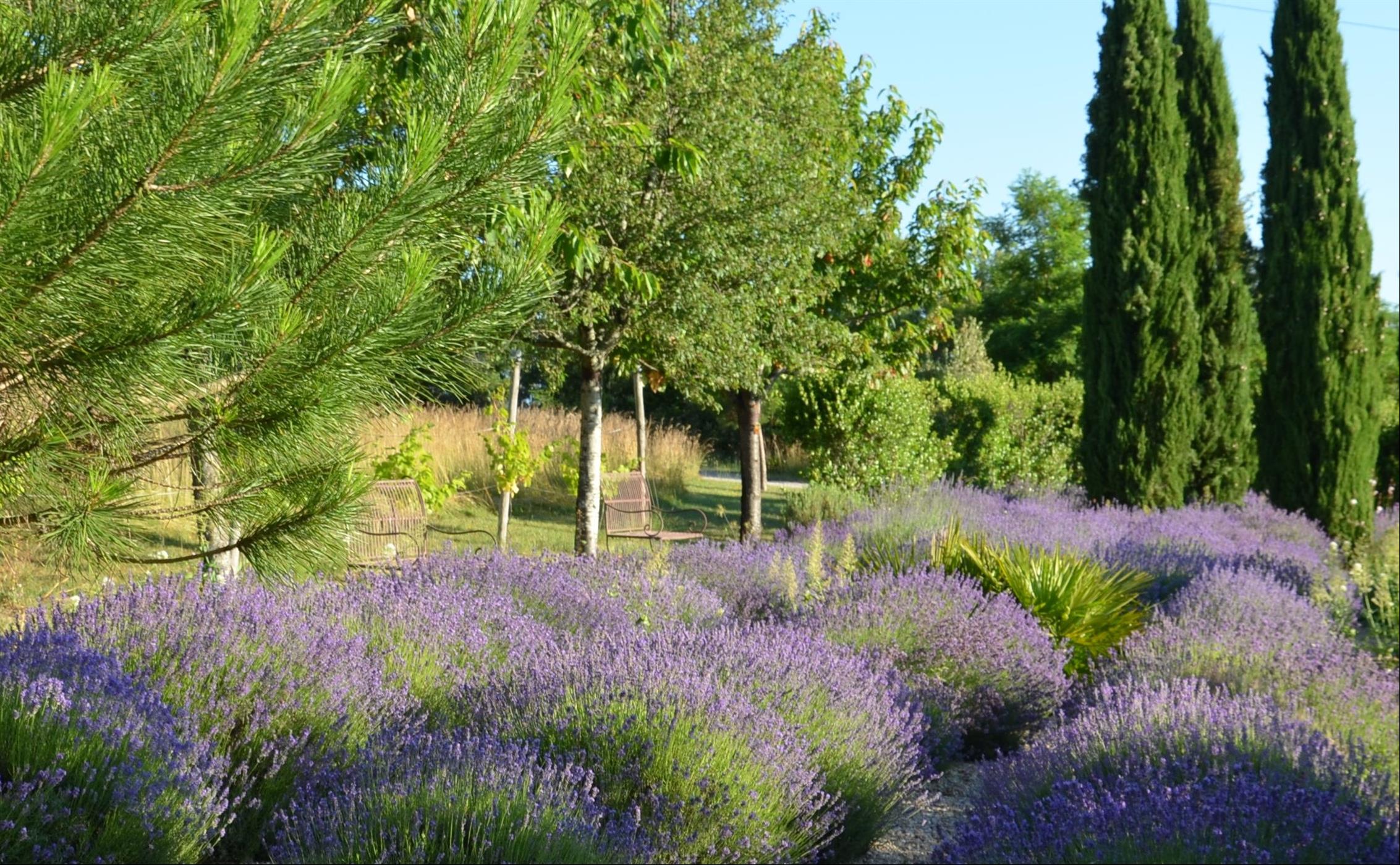 Les Gîtes du Rigaudou - Durocher, Saint-Denis-lès-Martel - photo 17