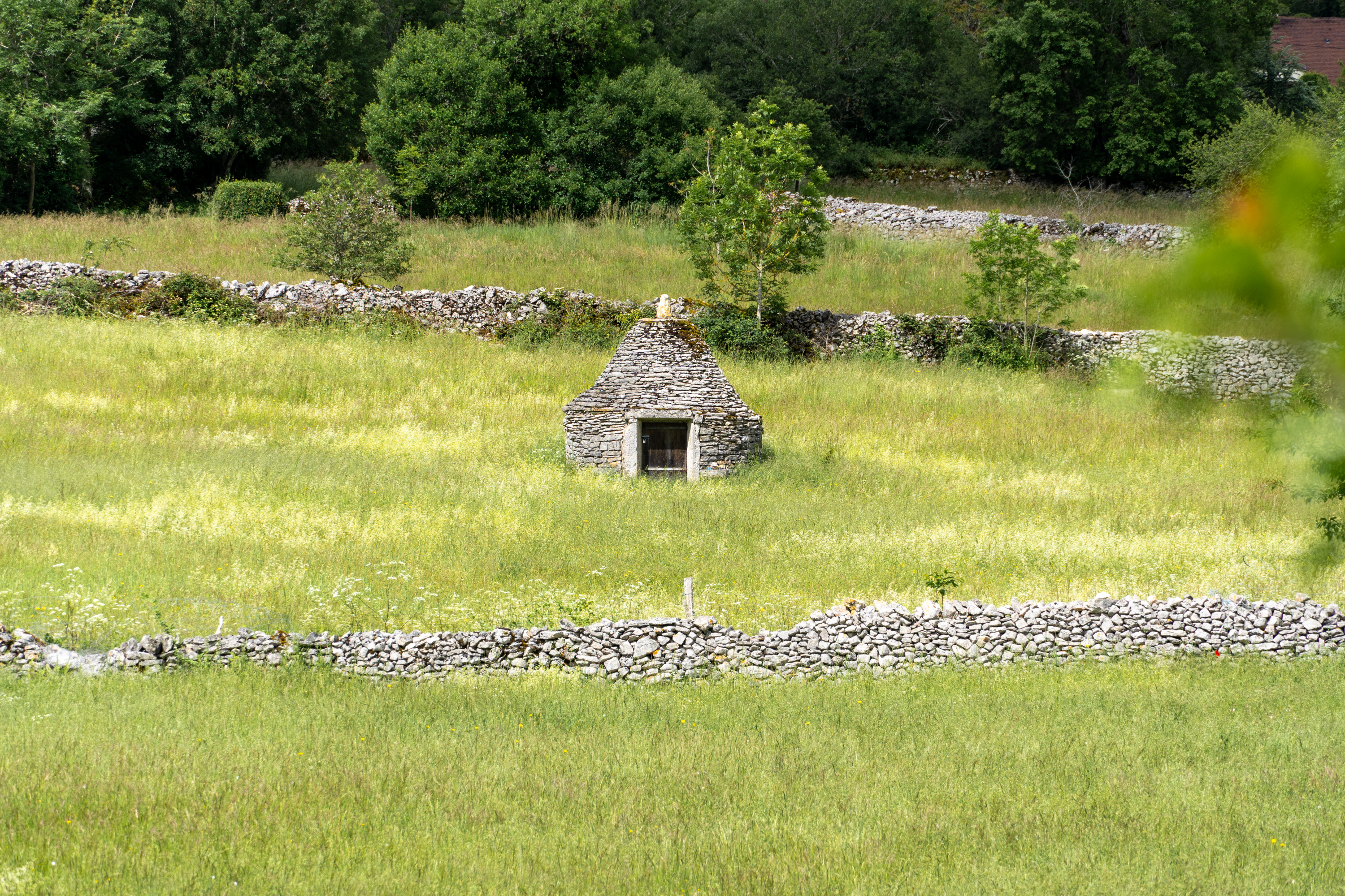 Caselle à Espédaillac