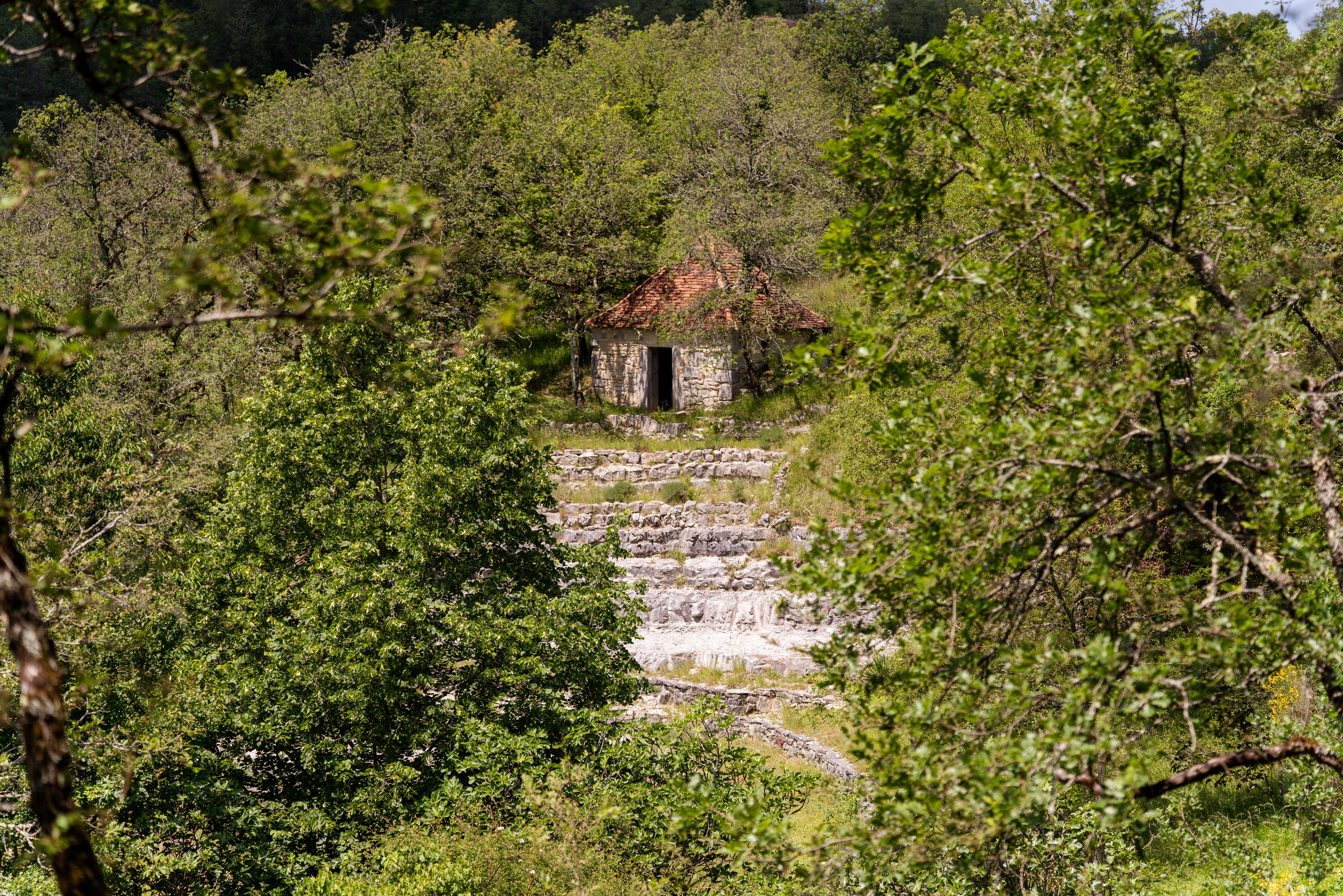 Entre Fontaines et orchidées, Ussel - photo 2