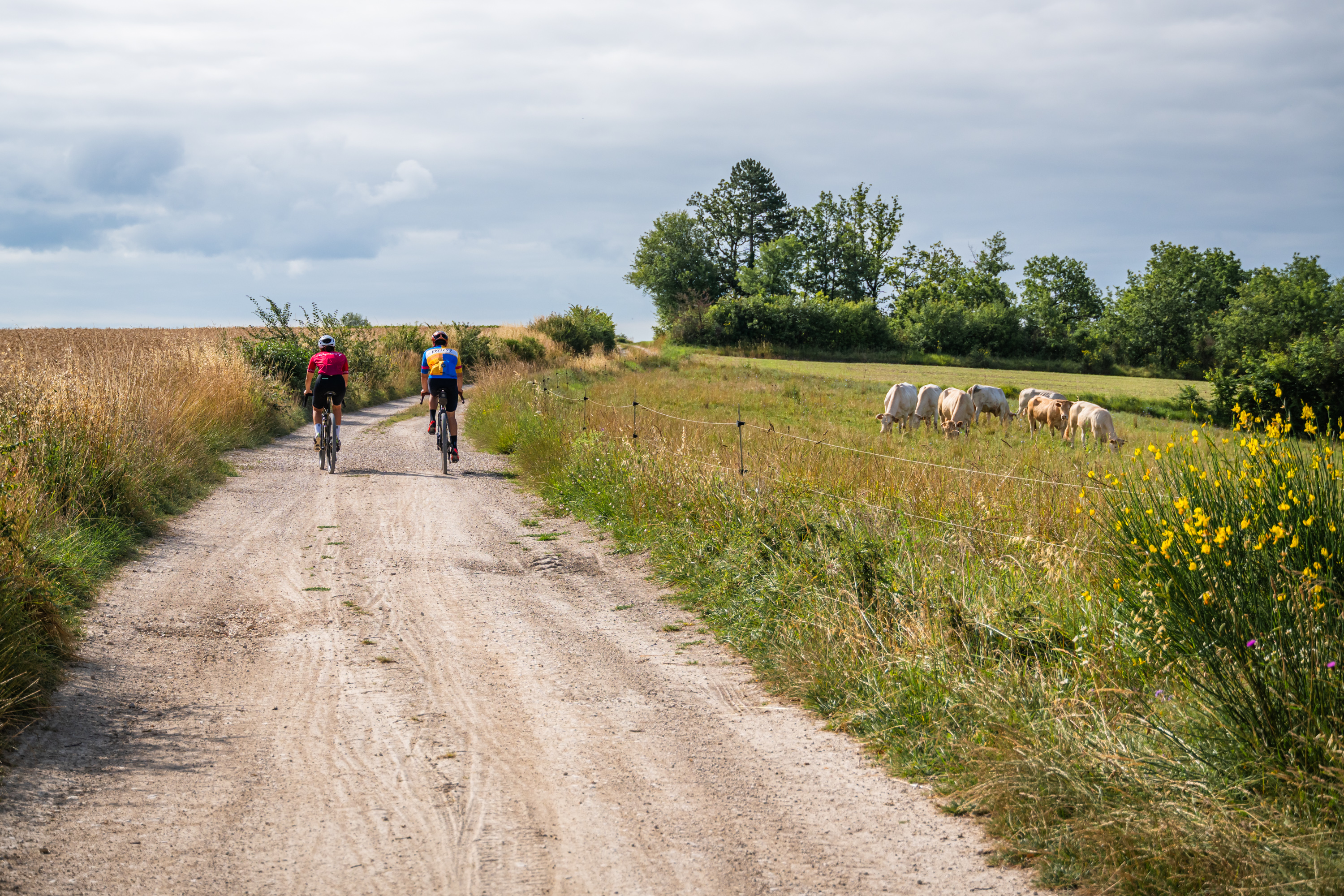 Les graviers blancs, Labastide-Marnhac - photo 2