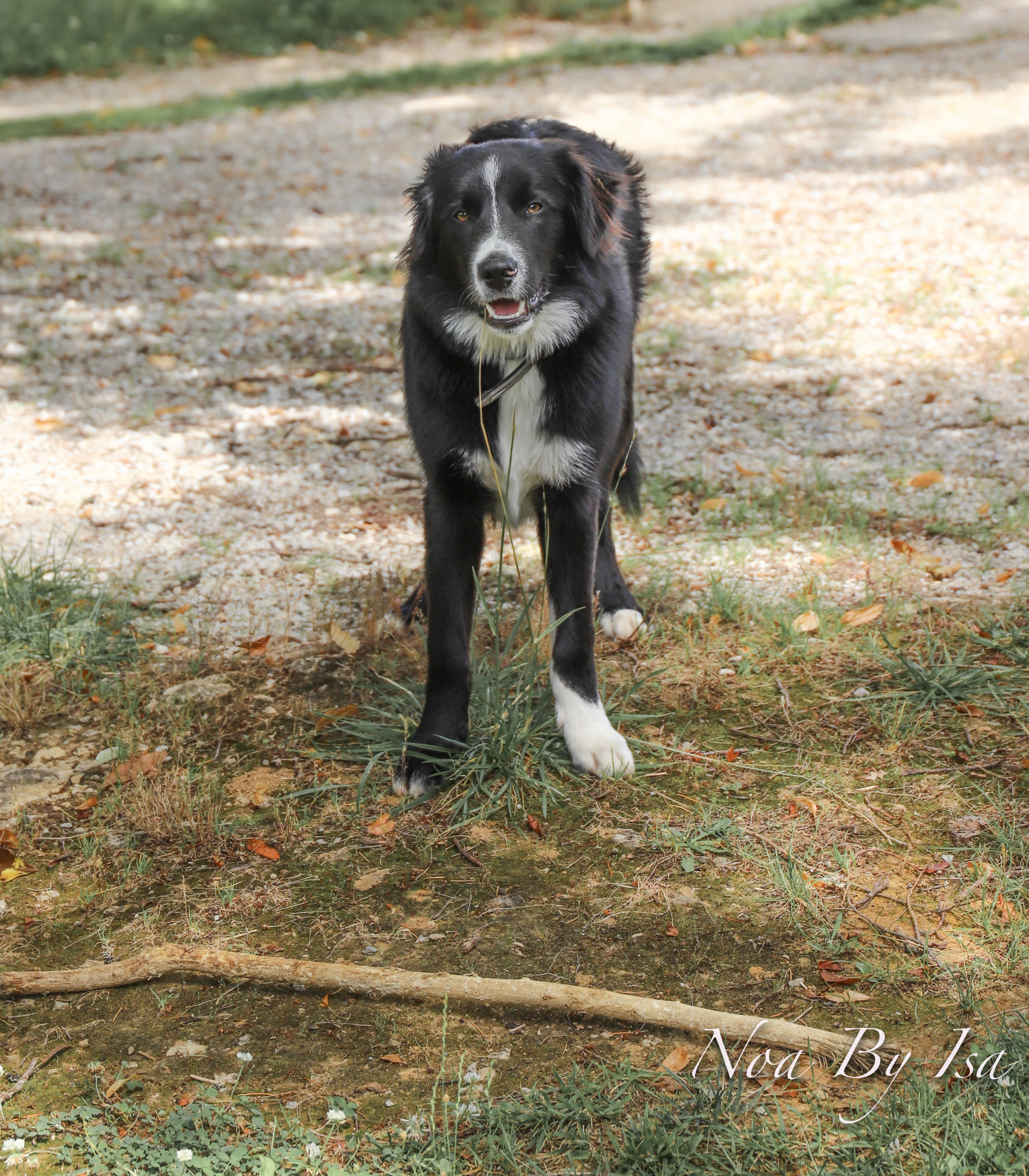 Domaine la Balme, Peyrilles - photo 3